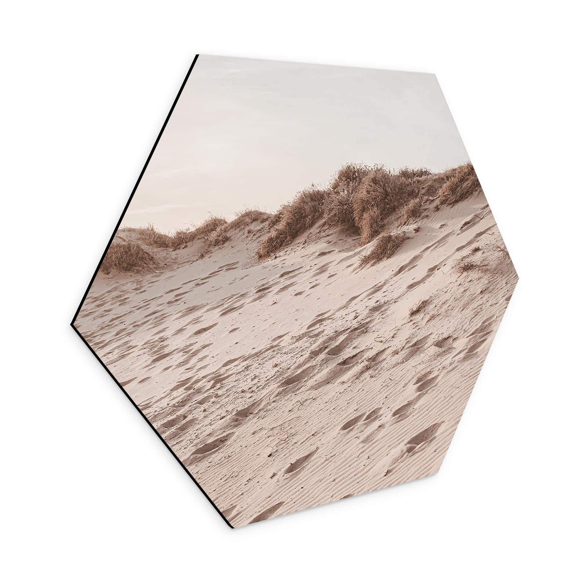 Hexagone - alu-Dibond 1X Studio - plage de sable