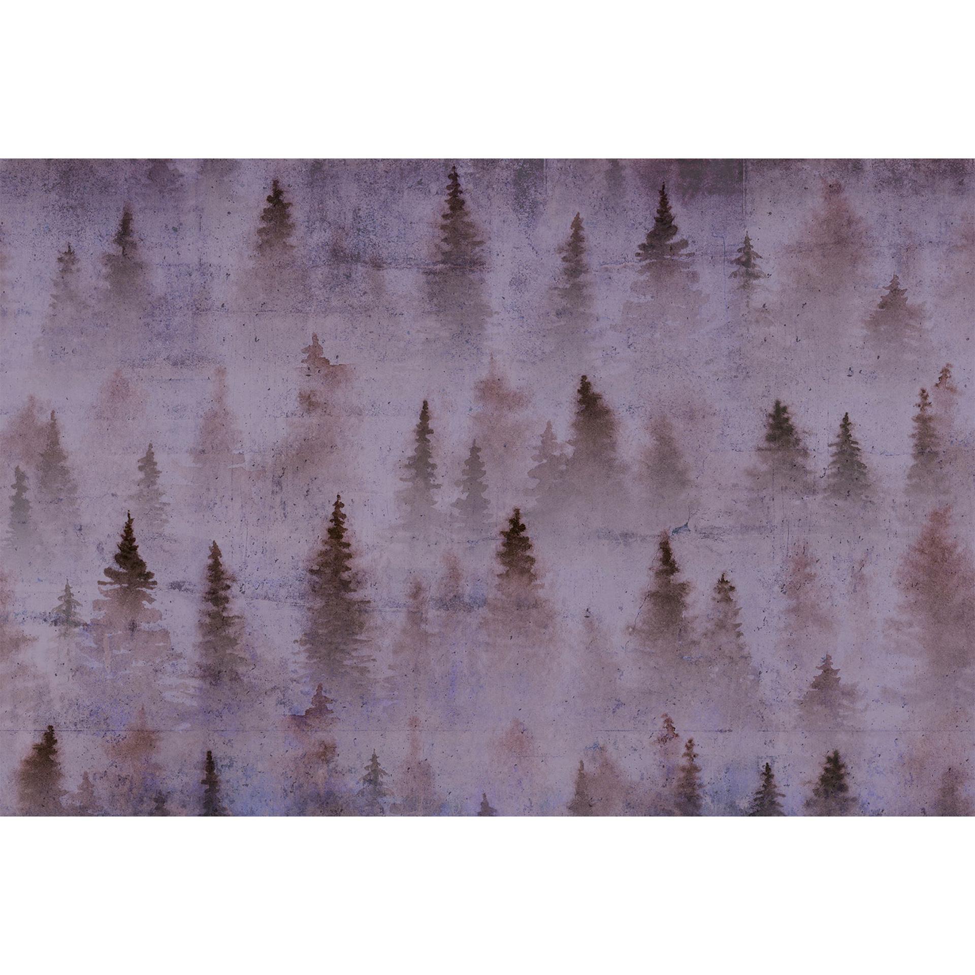 Architects Paper Papier peint photo Atelier 47 Coniferous forêt