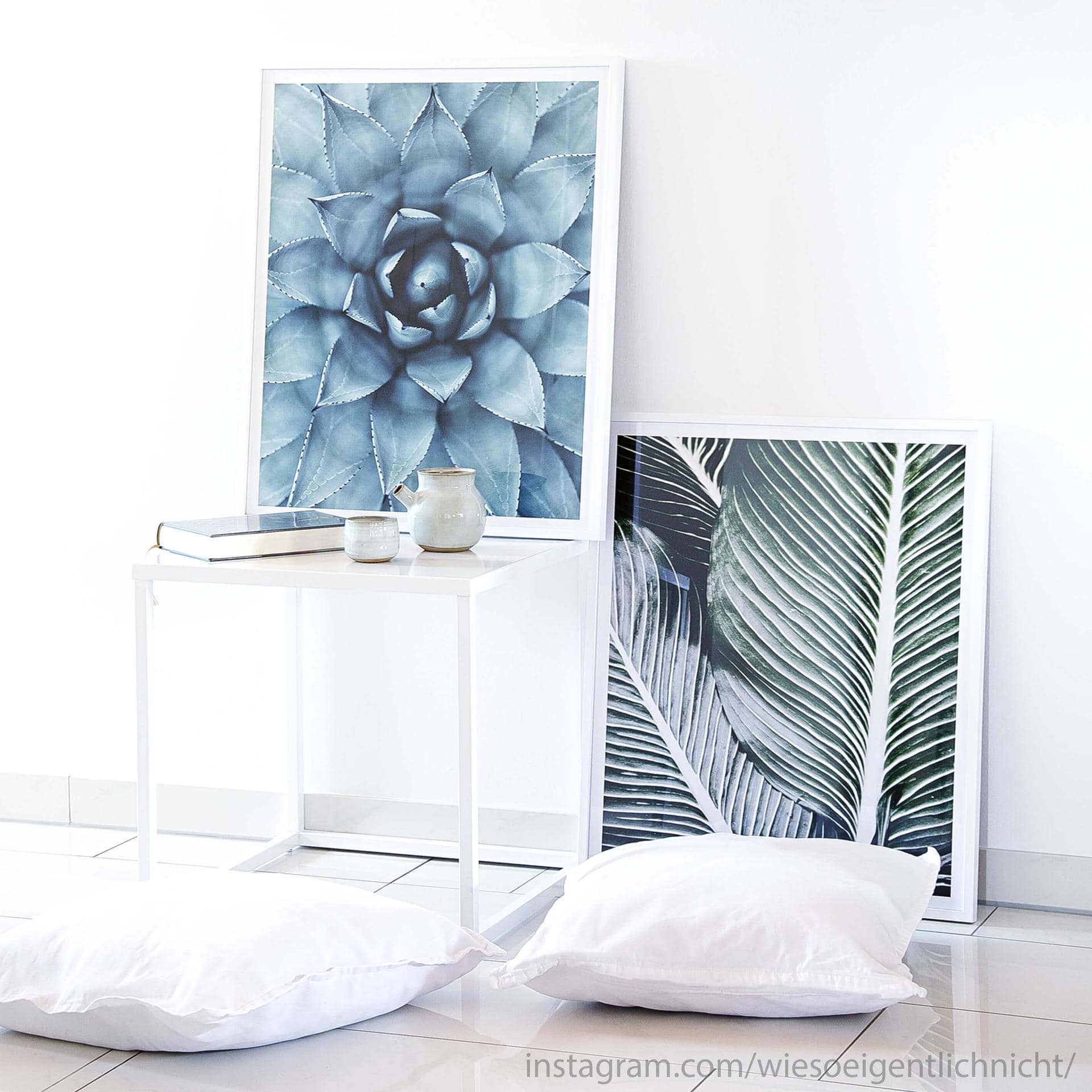 Poster Agave 02