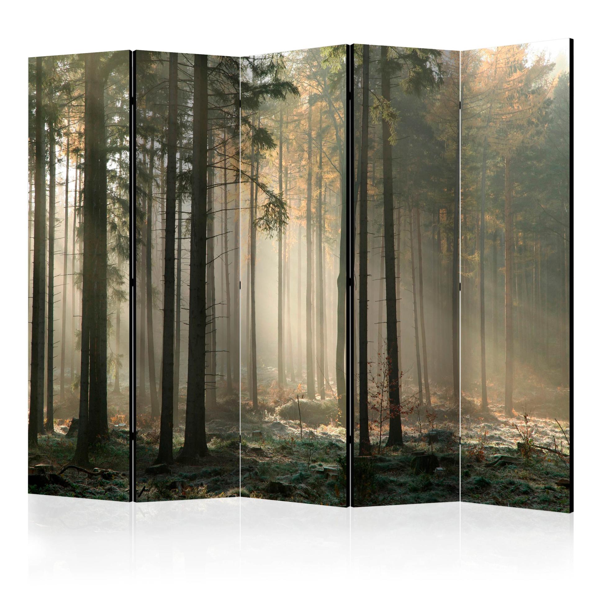 Paravent, Raumteiler freistehend, Trennwand - Foggy November morning II, 5-teilig - einseitig bedruckt - 225x172 cm