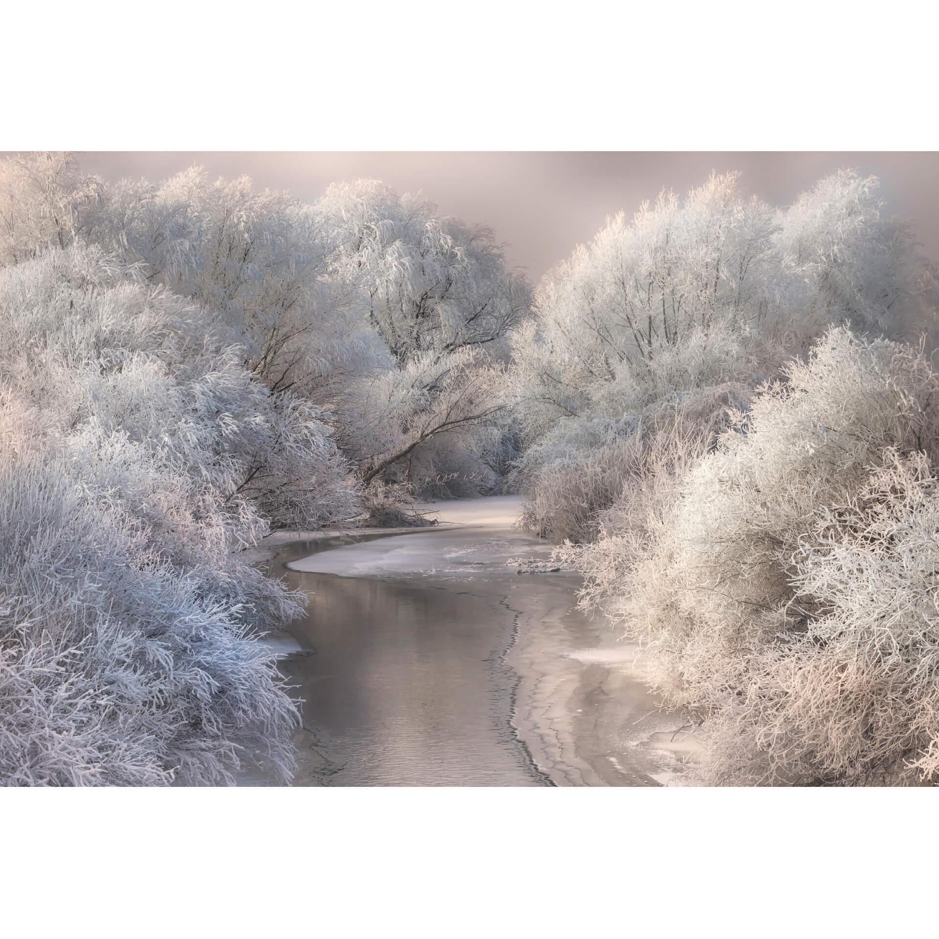 Fotobehang Bela - Winterlandschap