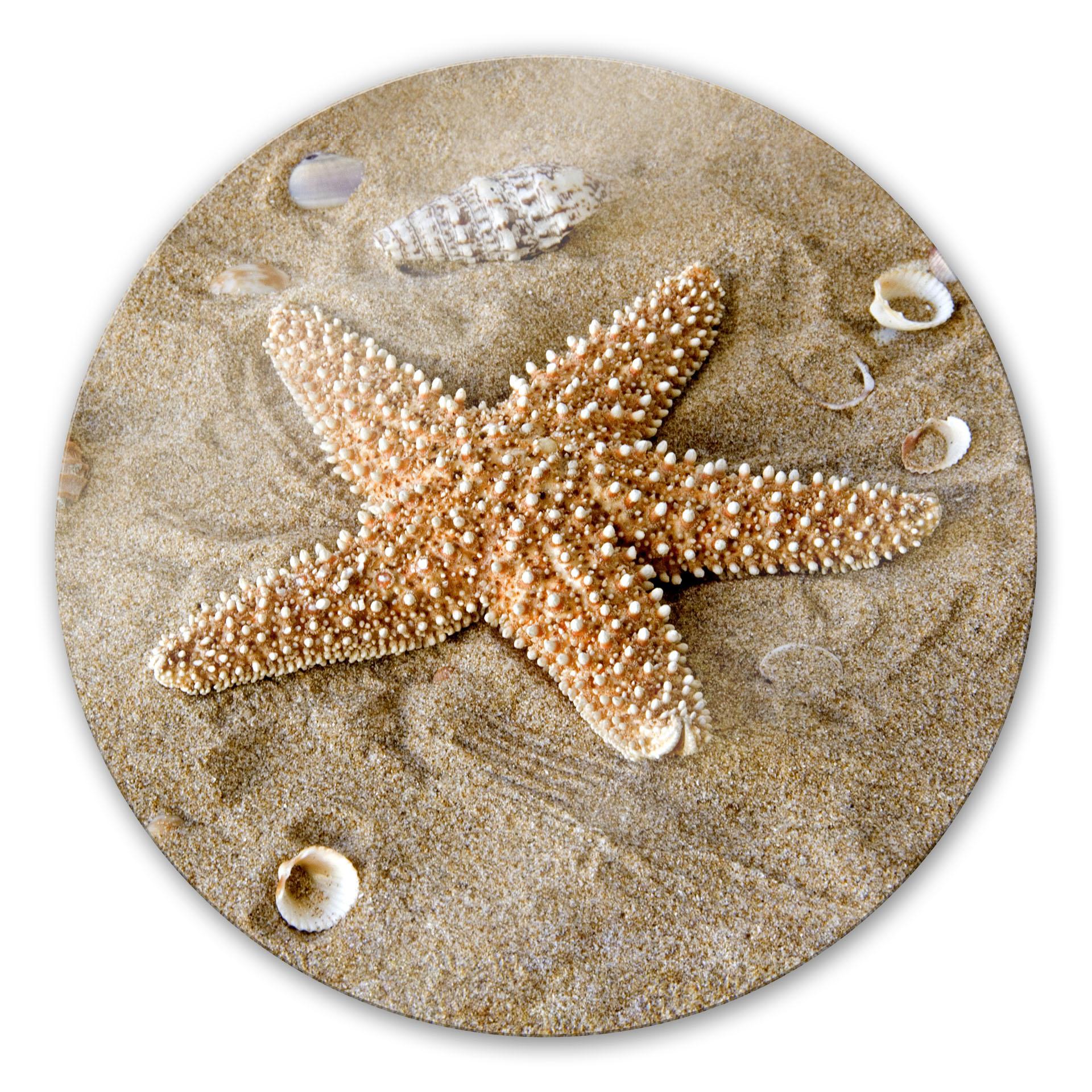 Tableau en verre - Étoile de mer - Rond