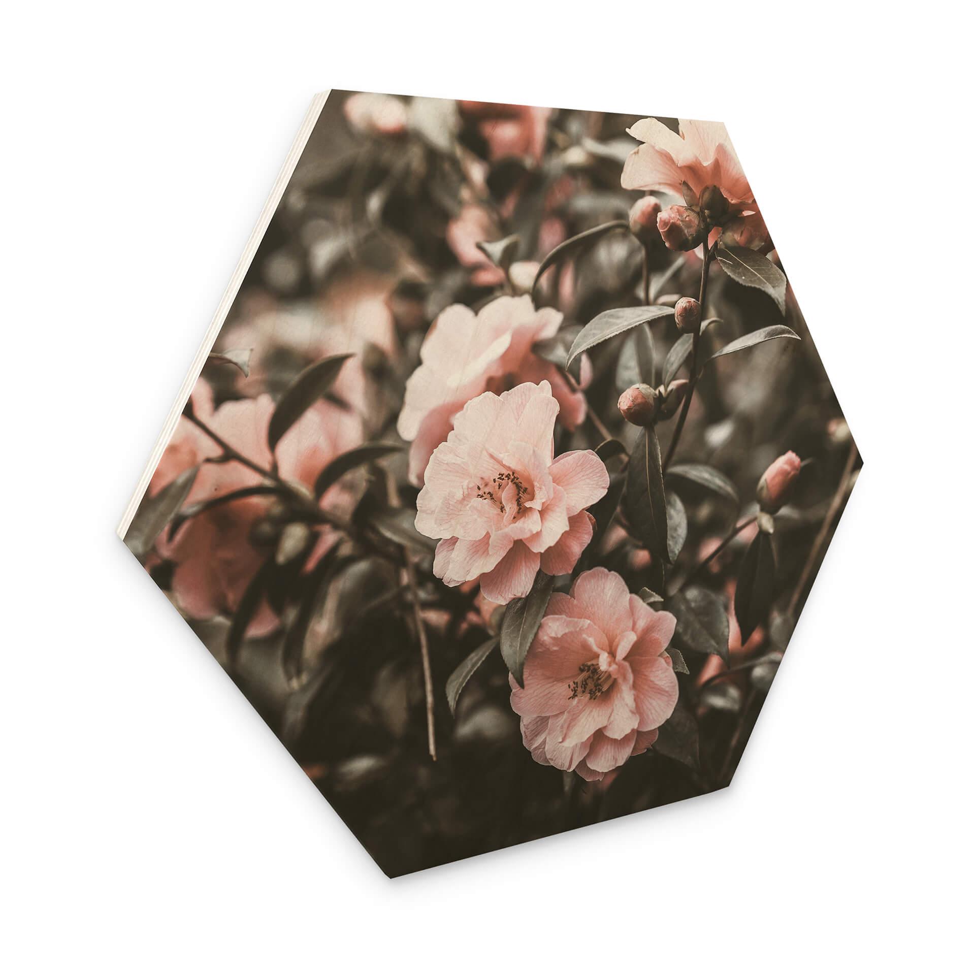 Hexagone - Bois Annie - Rosier