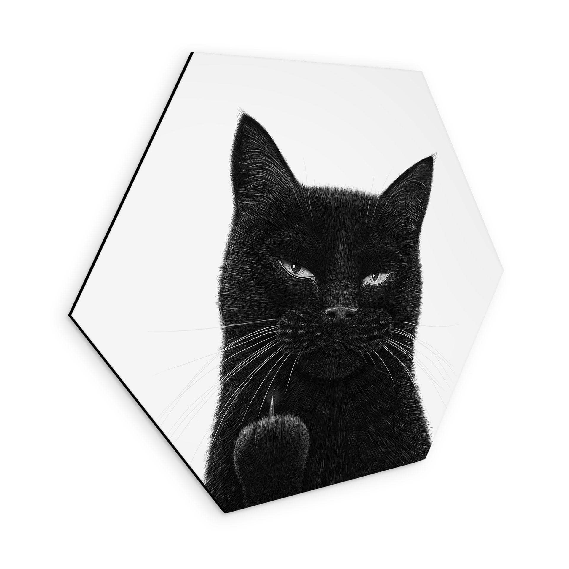 Tableaux hexagonaux Chat noir effronté - Korenkova - Alu-Dibond