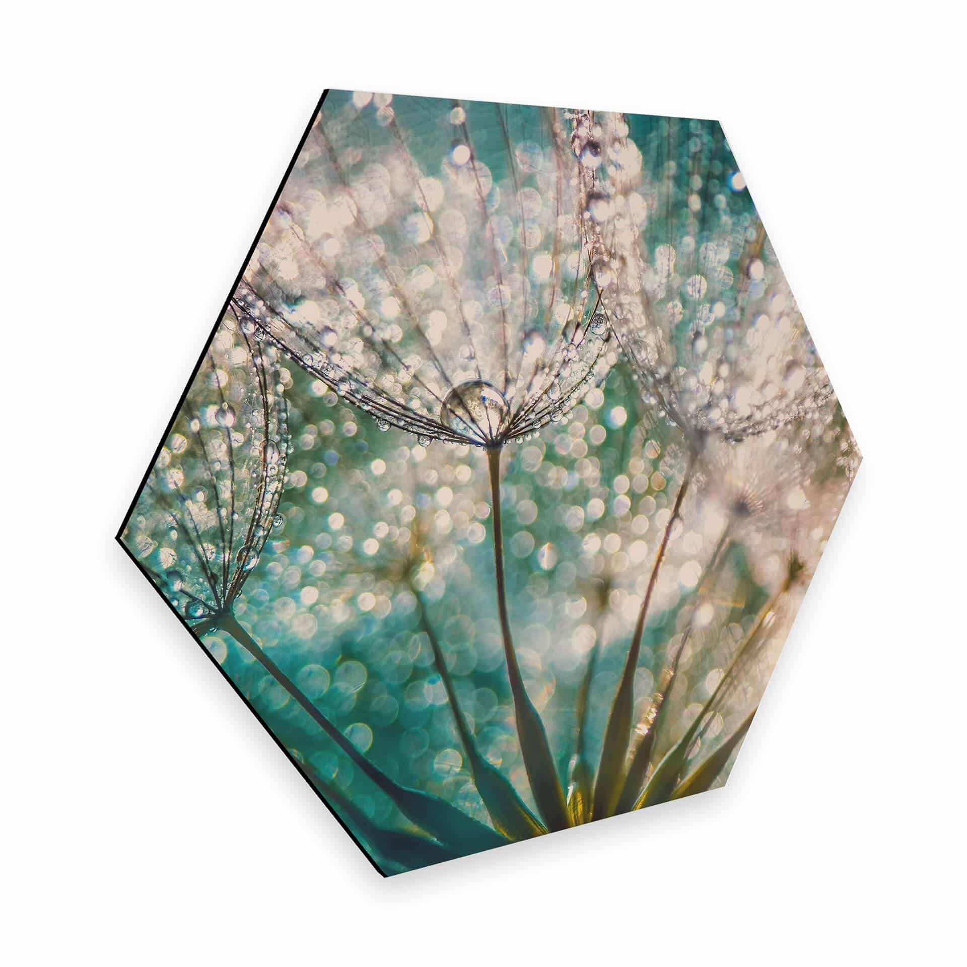 Hexagon - Alu-Dibond - Delgado - Glittery Dandelions