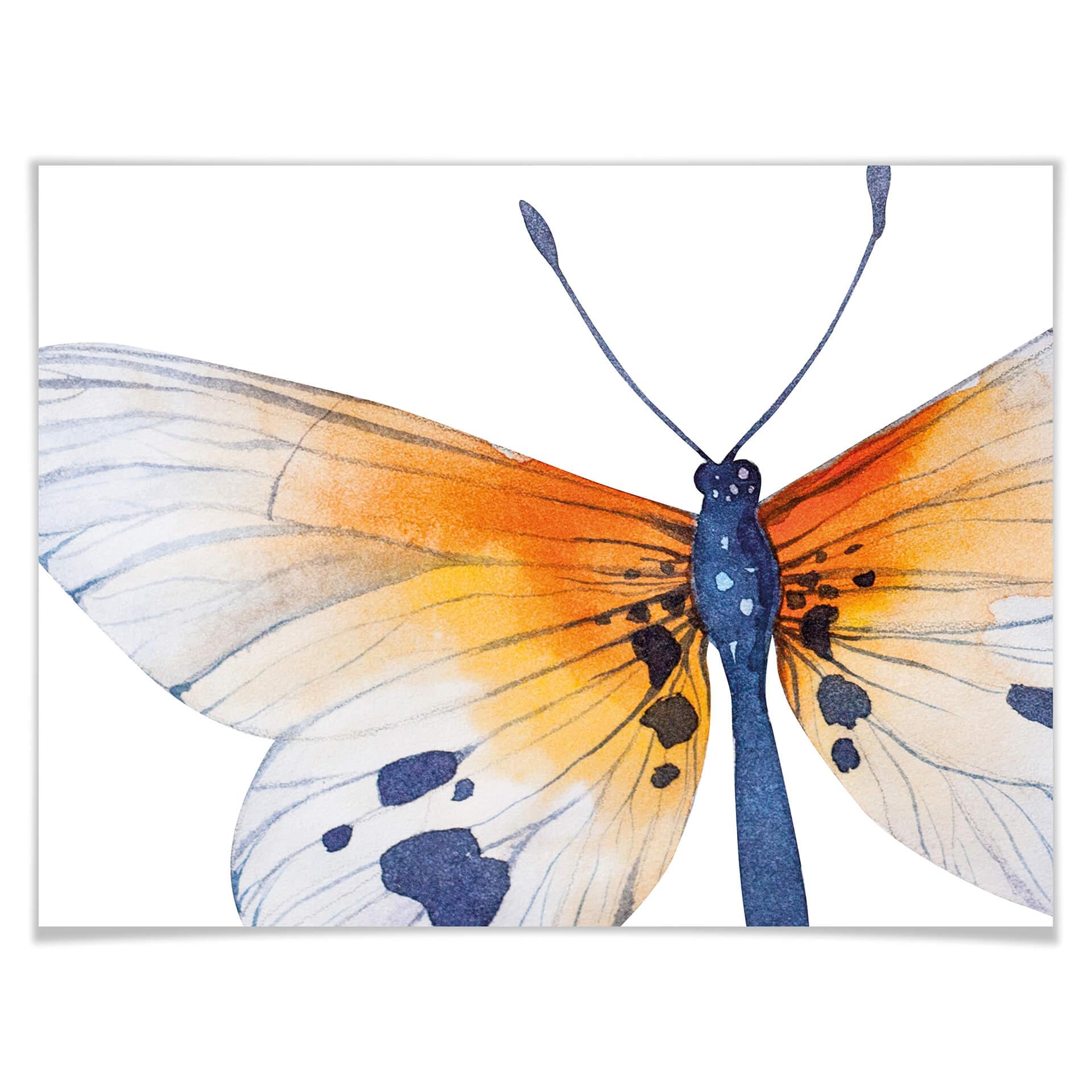 Plakat Kvilis - Butterfly 02