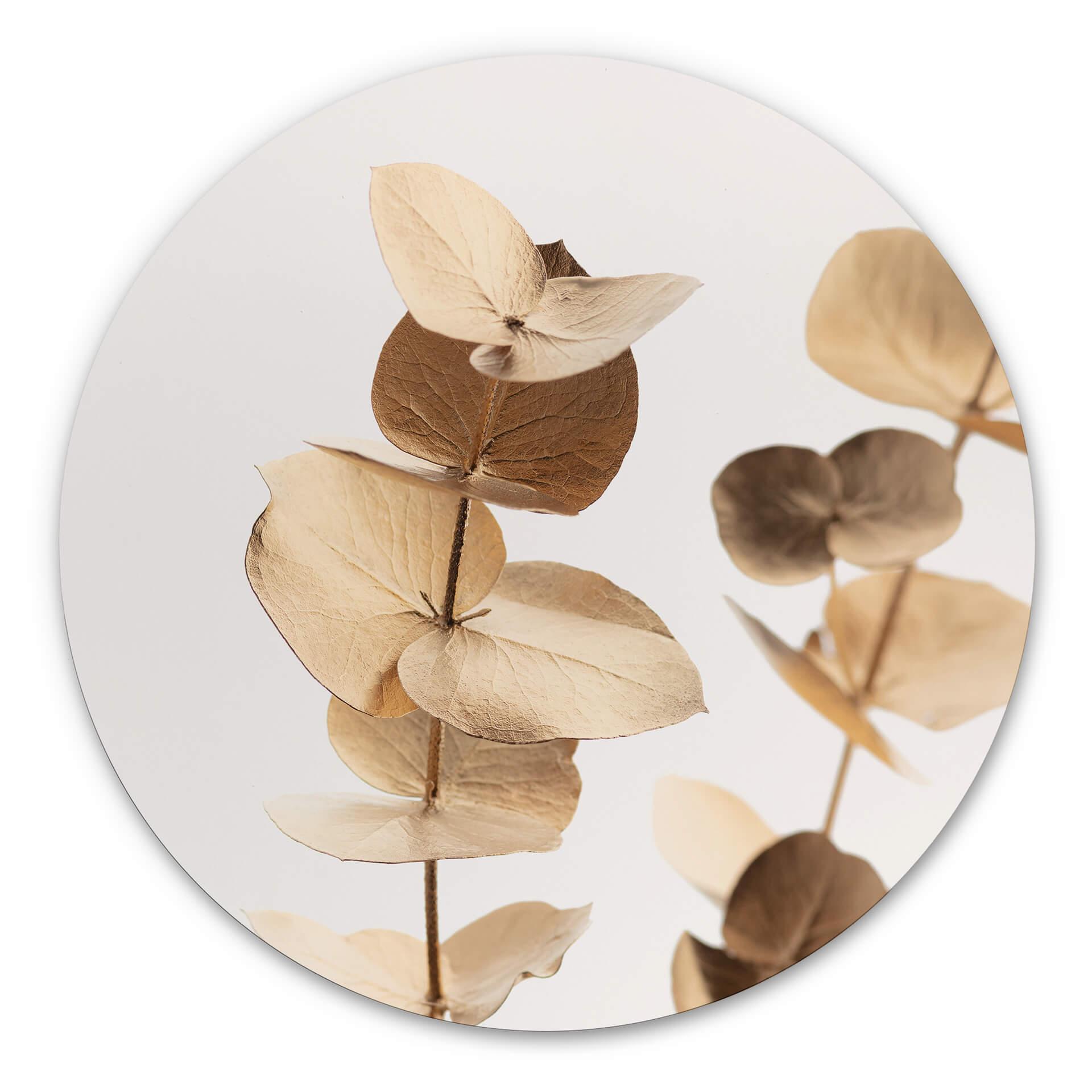Tableau sur alu-Dibond 1X Studio - Eucalyptus doré - Rond