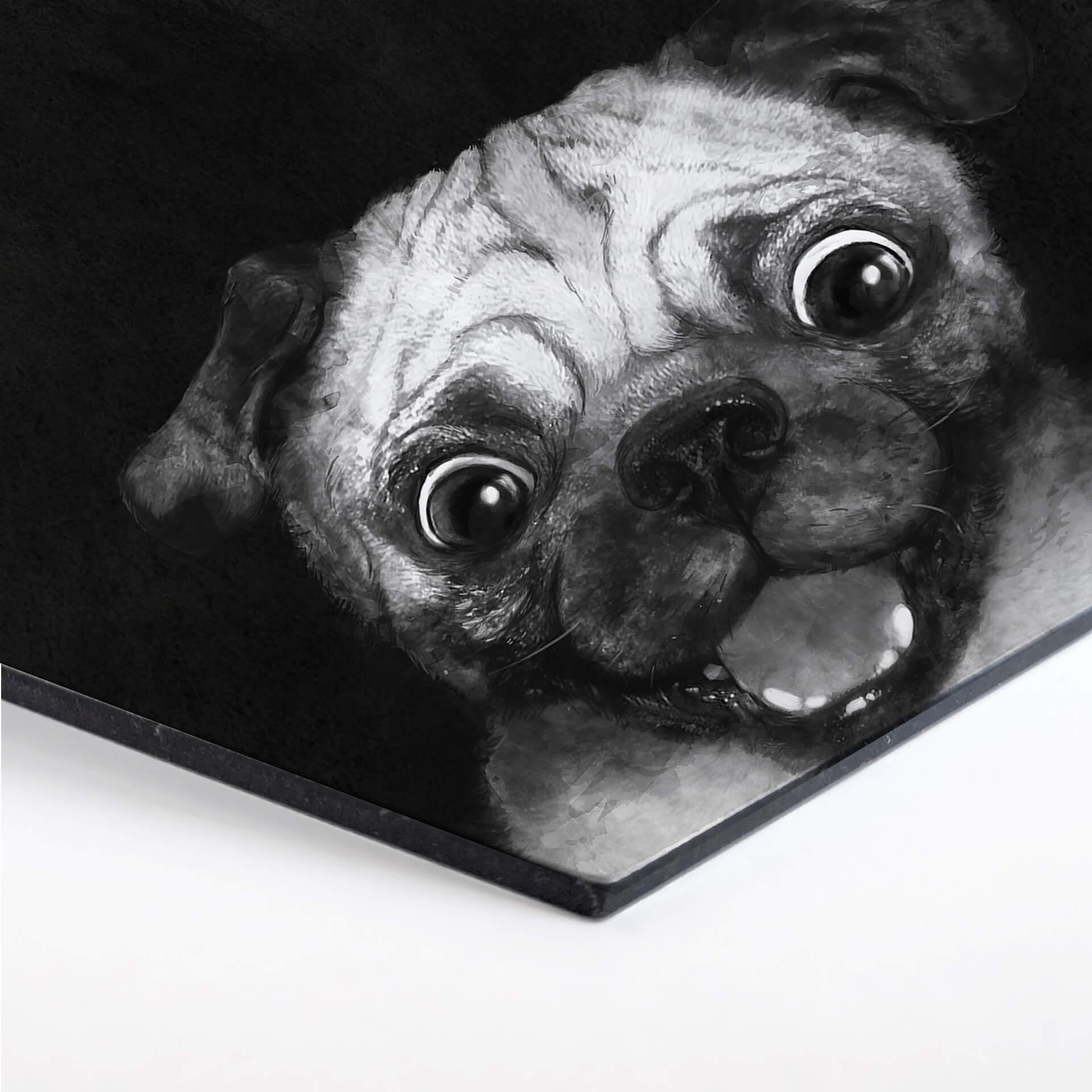 Hexagon - Alu-Dibond Graves - Snuggle Pug