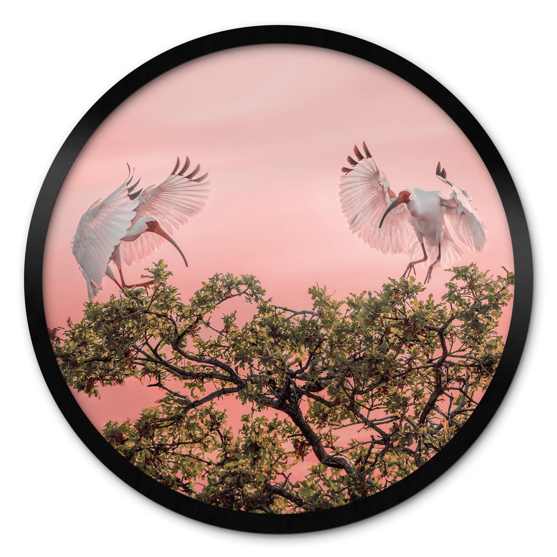 Plakat Zhao - Birds at Sunset