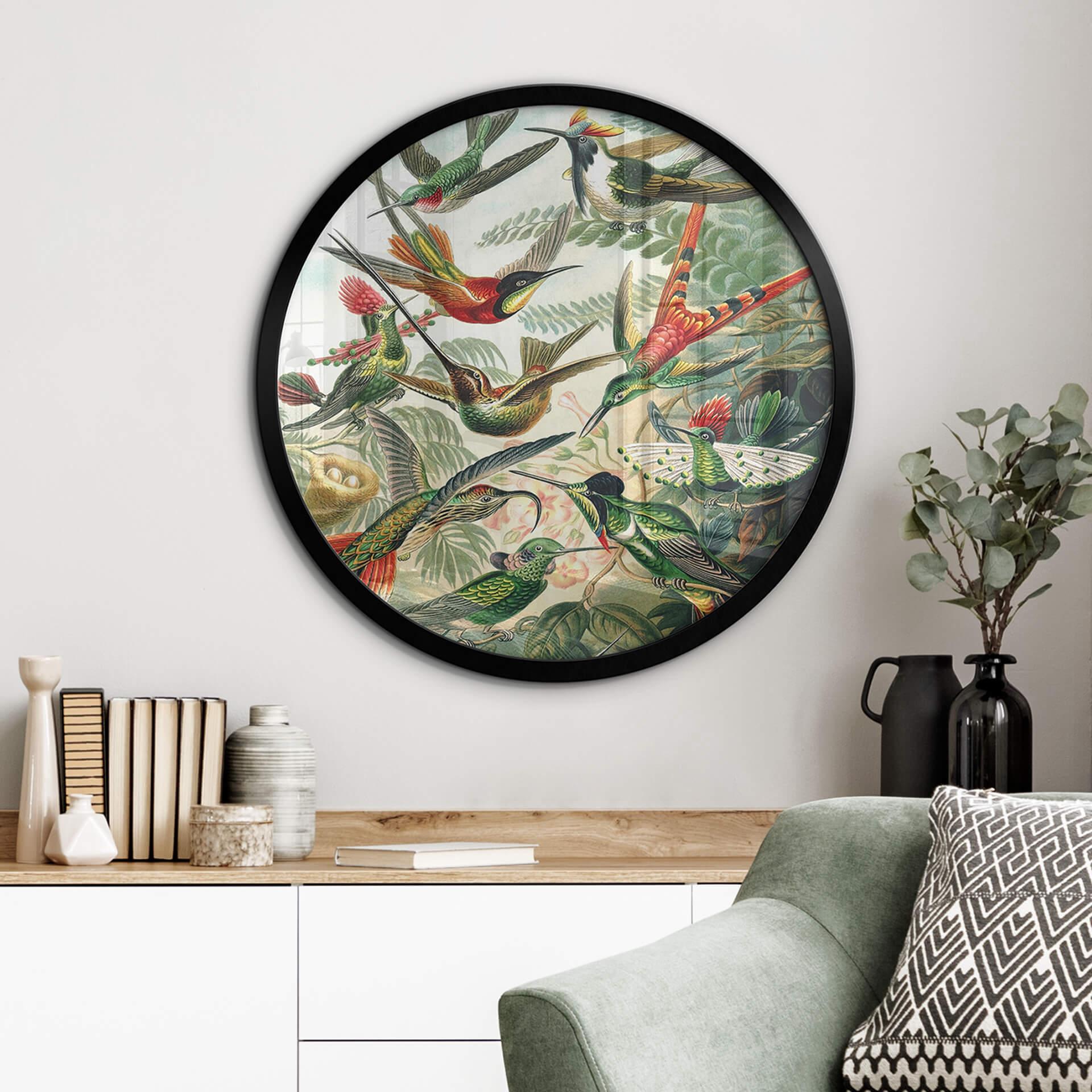 Plakat Haeckel - Hummingbirds