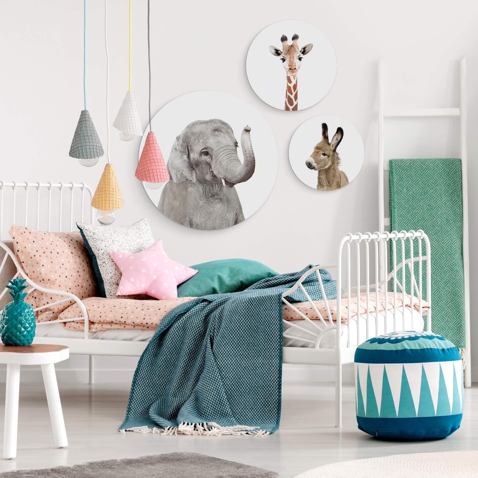 Alu-Dibond Sisi & Seb - Baby Elefant - Rund