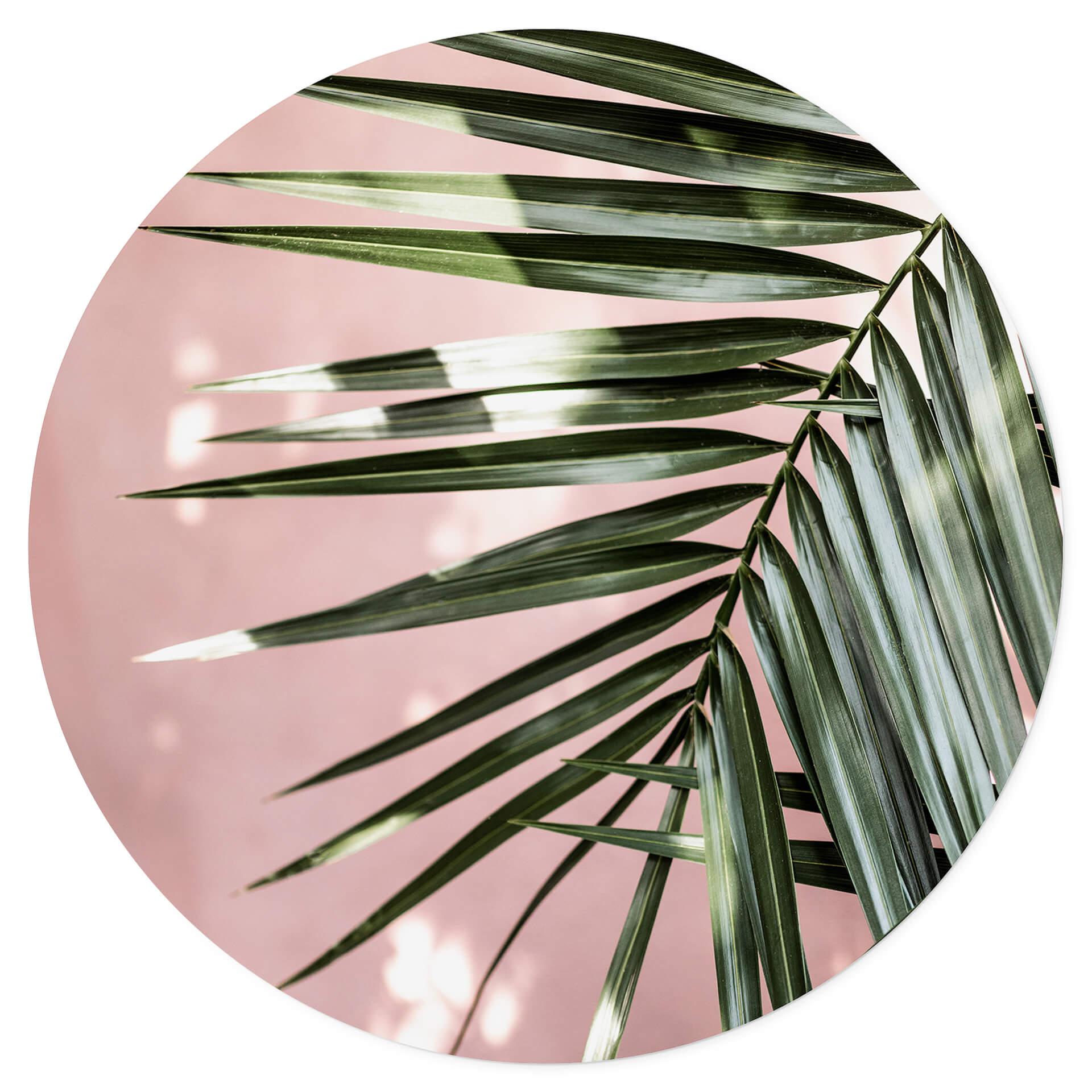 Muursticker Palmblad voor roze muur - Böhmer