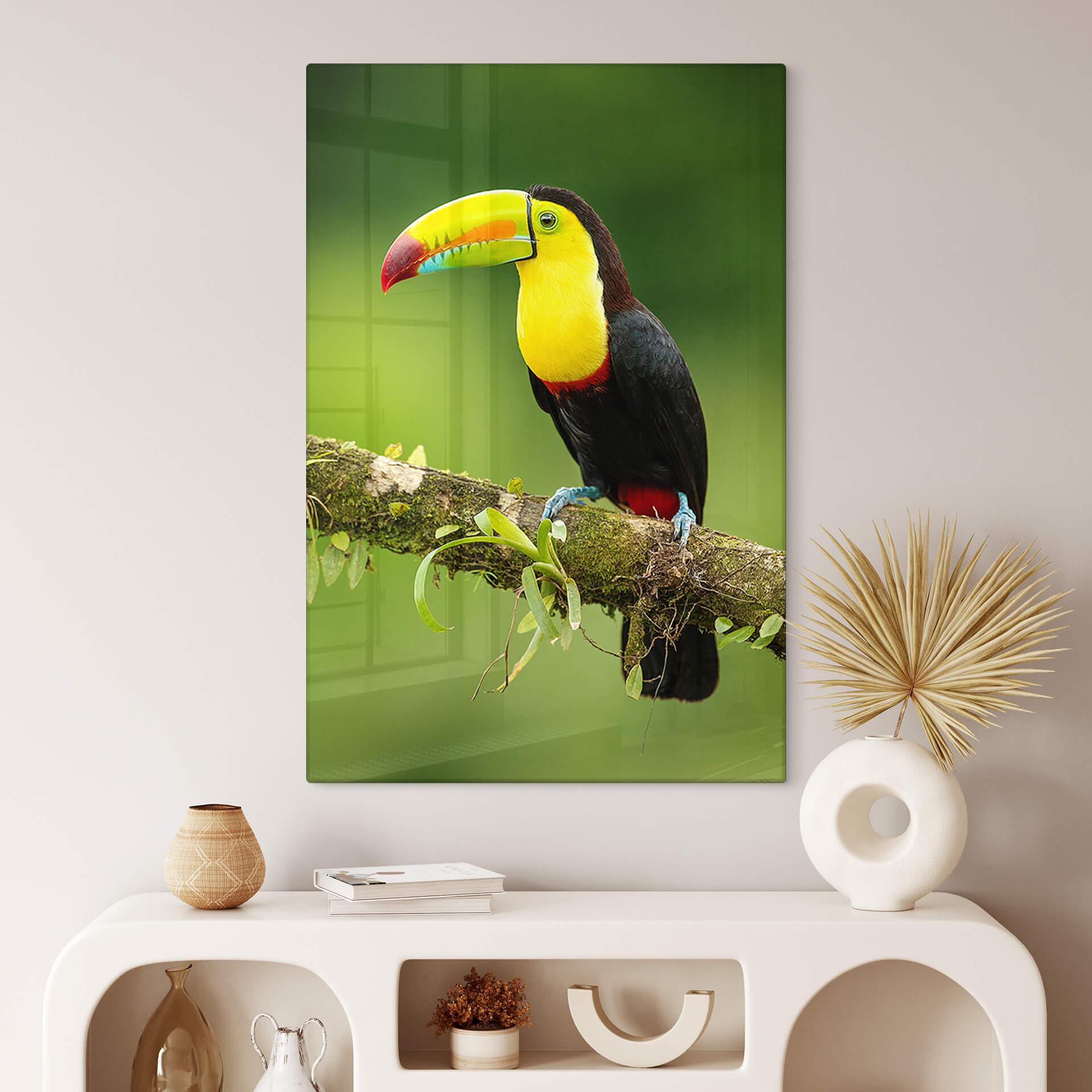 Glasschilderij van Duijn - Toekan in Costa Rica