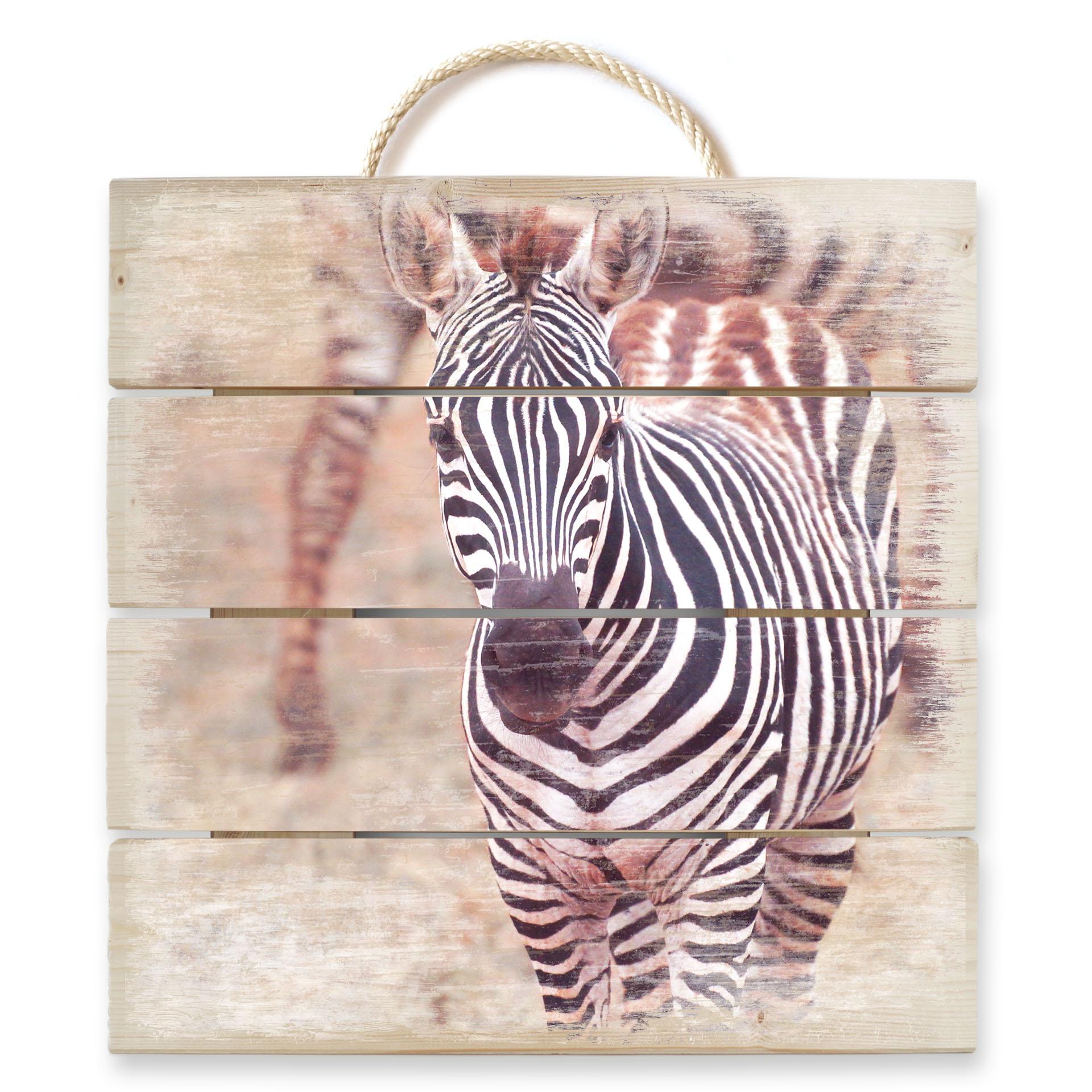 Obraz drewniany źrebię zebra - 40x41,5 cm