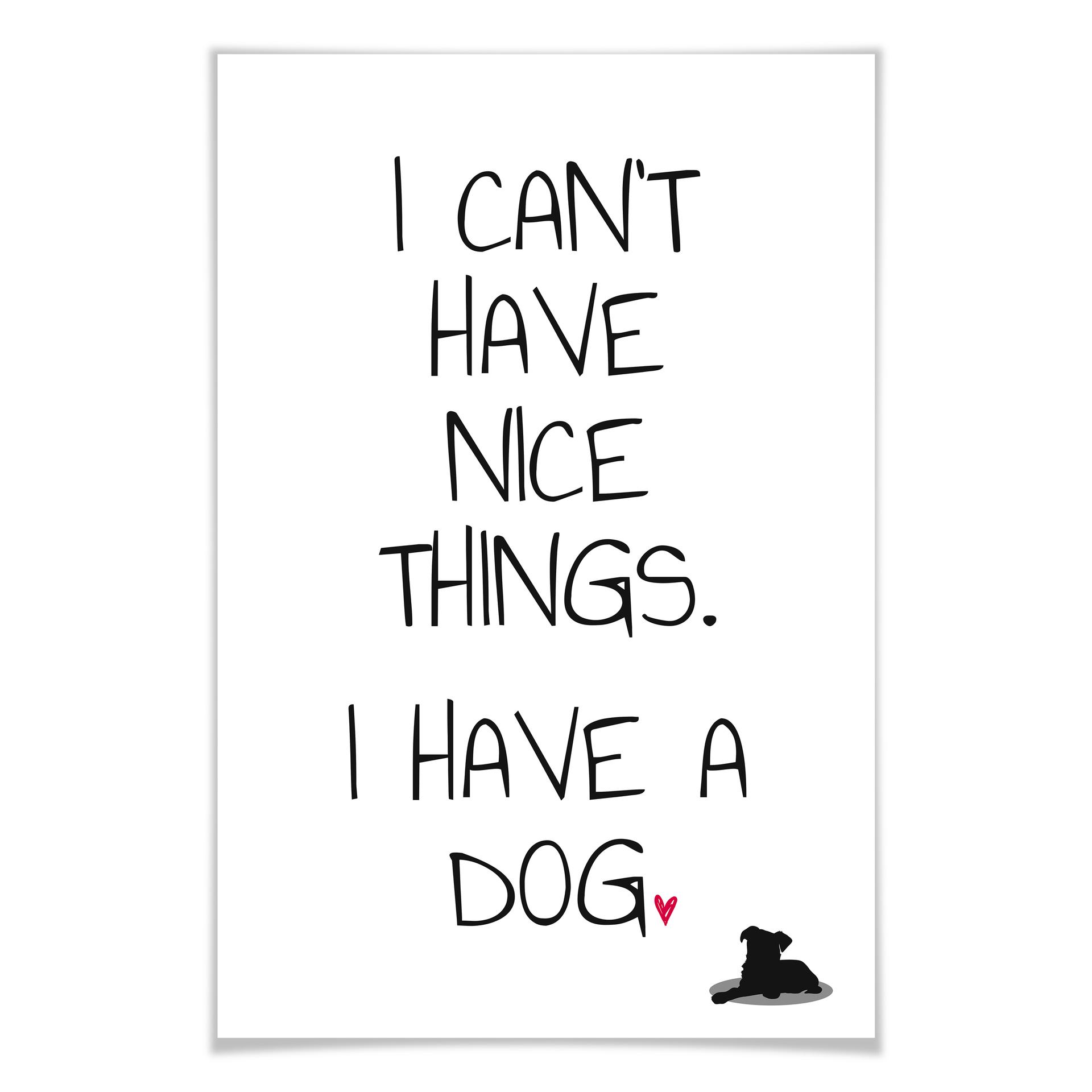 Poster - I can't have nice Things