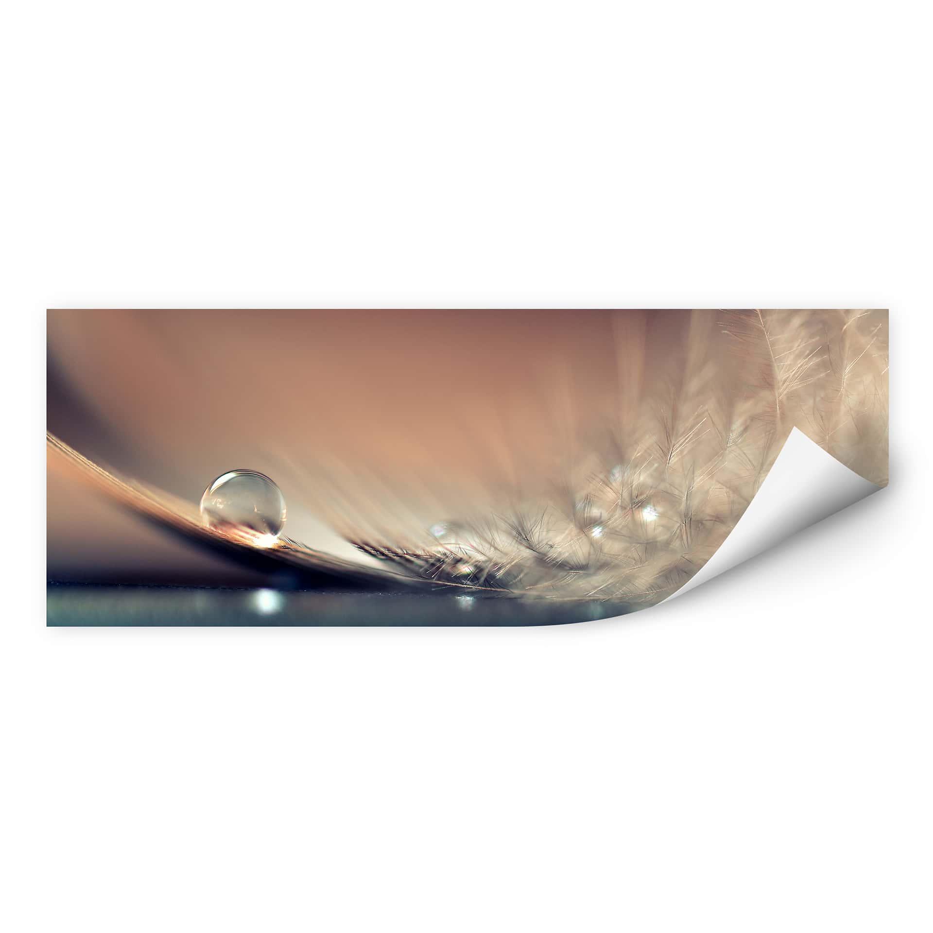 Zelfklevende Poster - Dmitry - Story of a Waterdrop