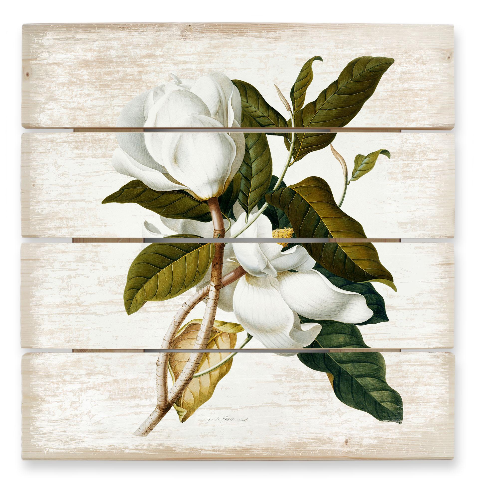 Ehret Trätavla - Magnolia - 40x41,5 cm