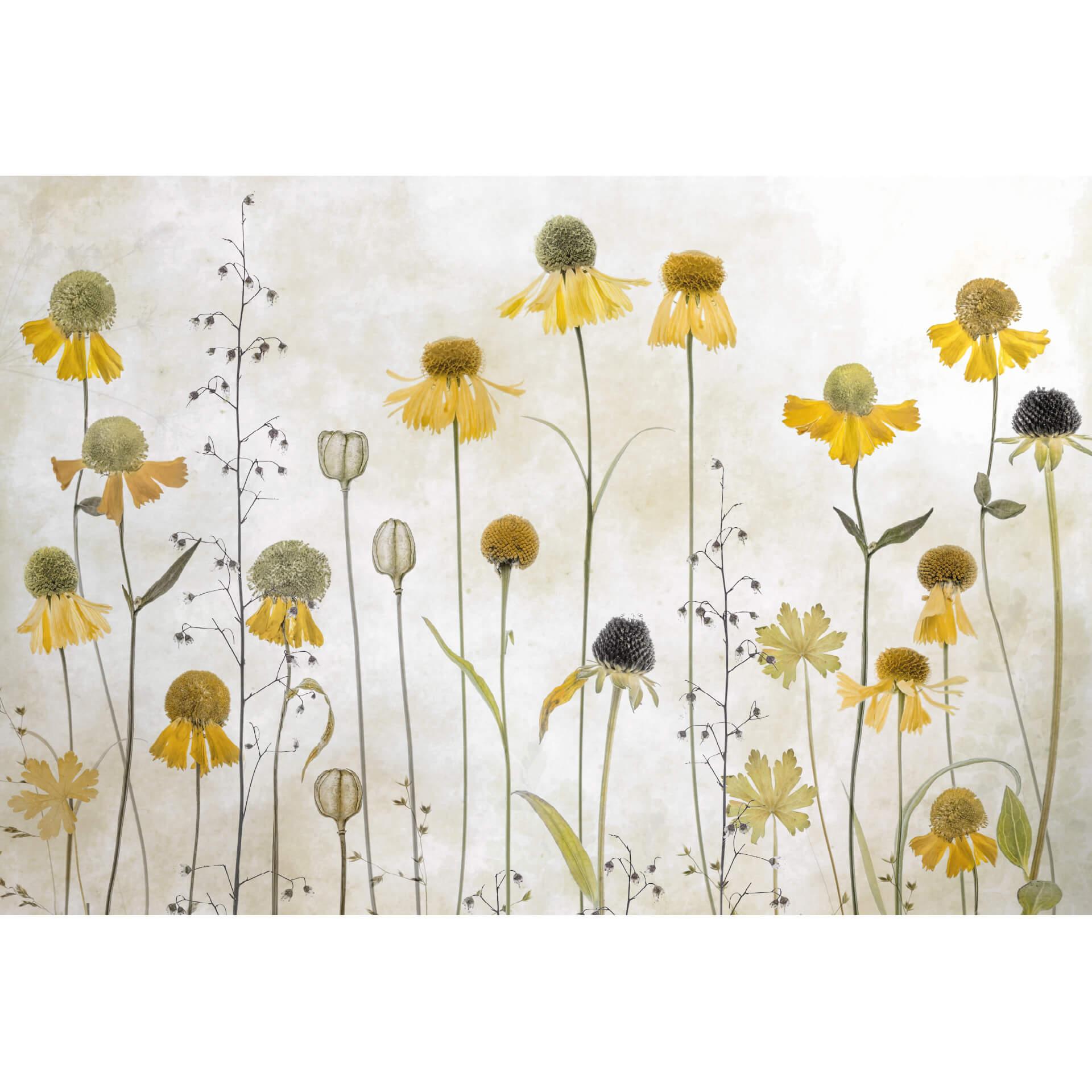 Fotobehang Disher - Zomerbloemen