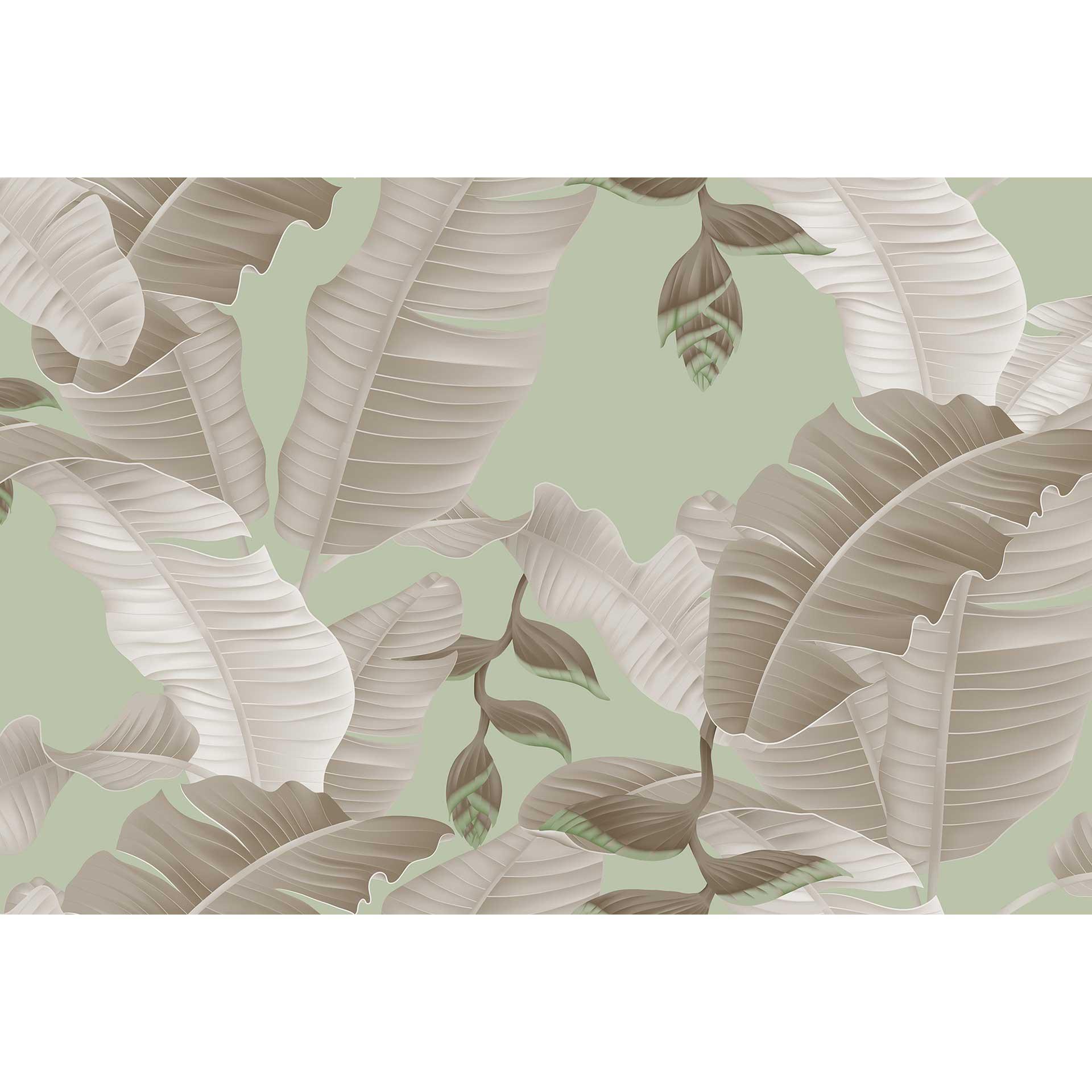 Livingwalls papier peint photo ARTist Heliconia avec Palmiers gris, vert