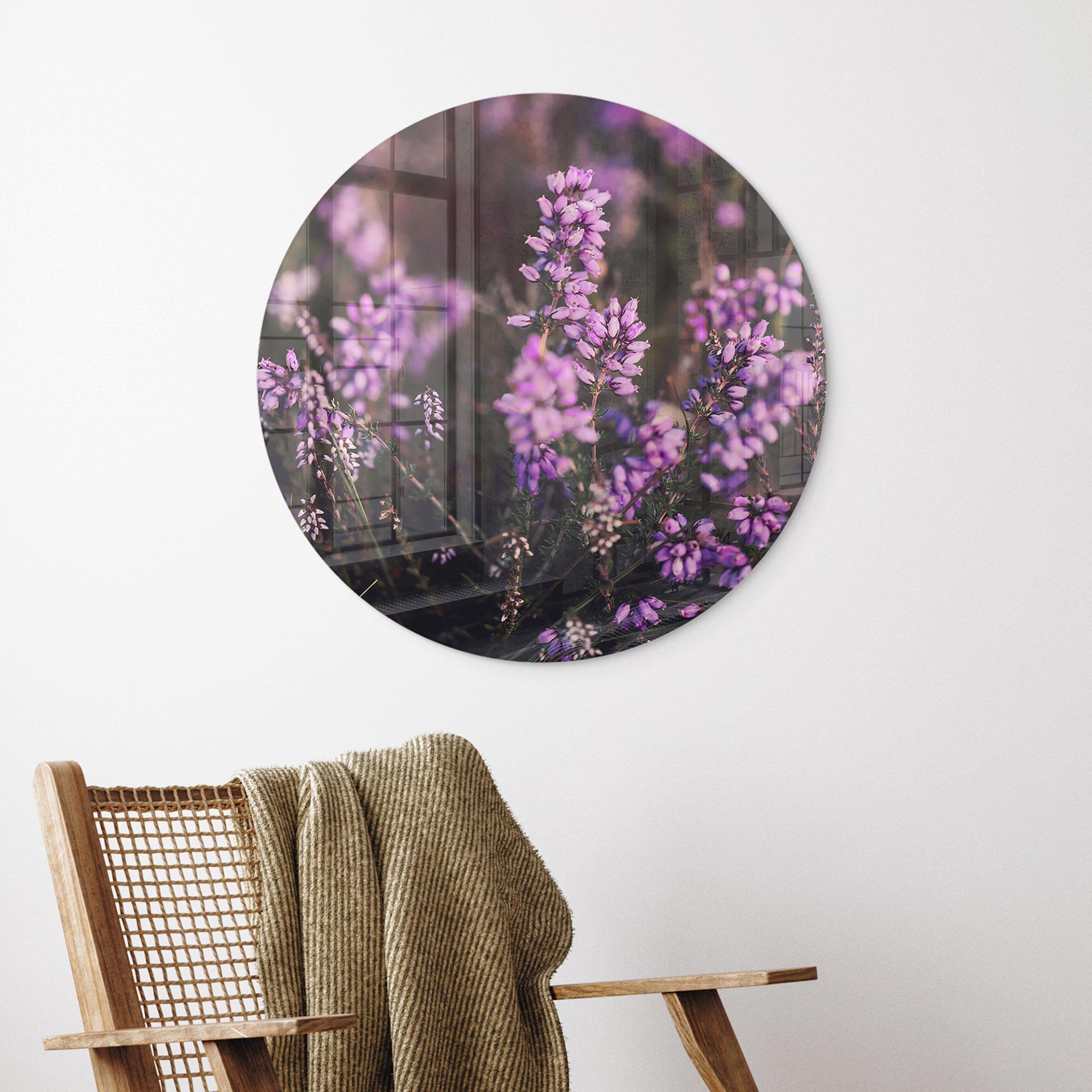 Glasbillede - Lilla lyngblomst i varmt lys - Annie - Rund