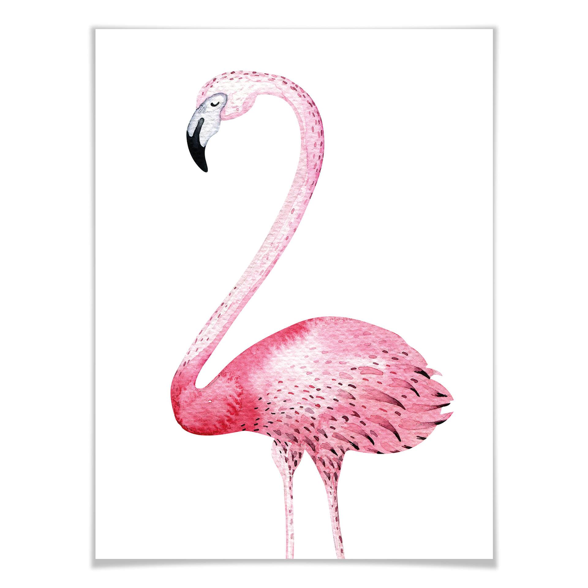 Plakat Kvilis - Pink Flamingo 01