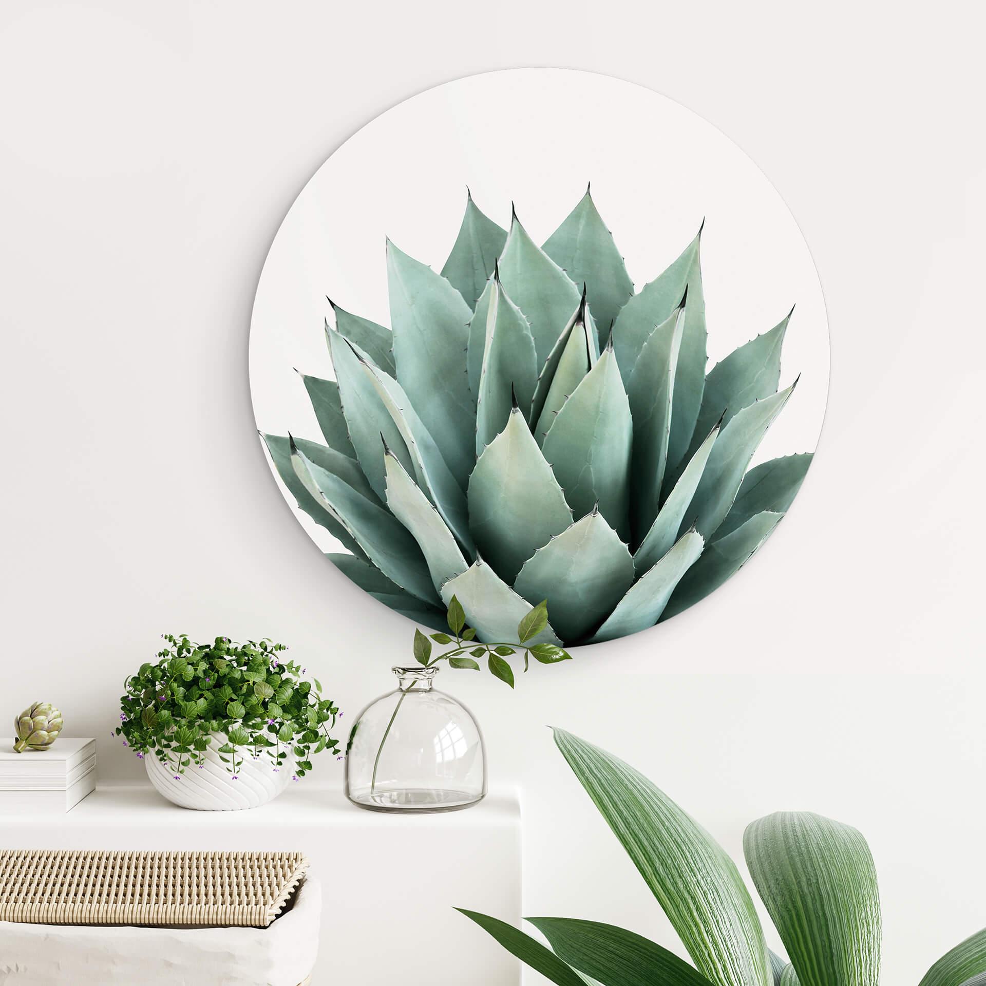 Wandcirkel Sisi & Seb - Succulents