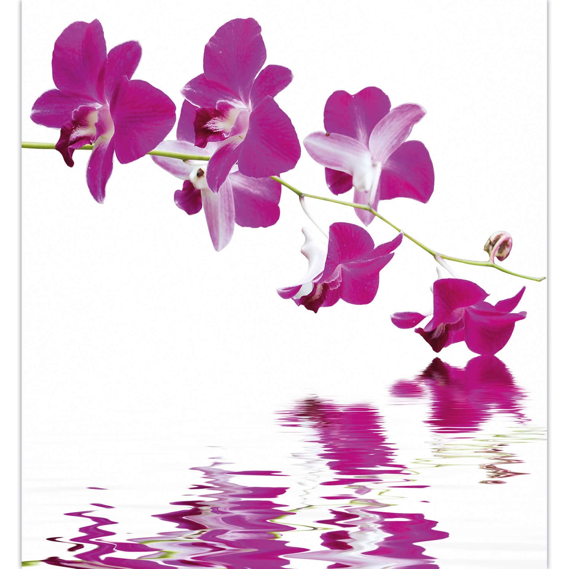 Fotobehang Bloementak