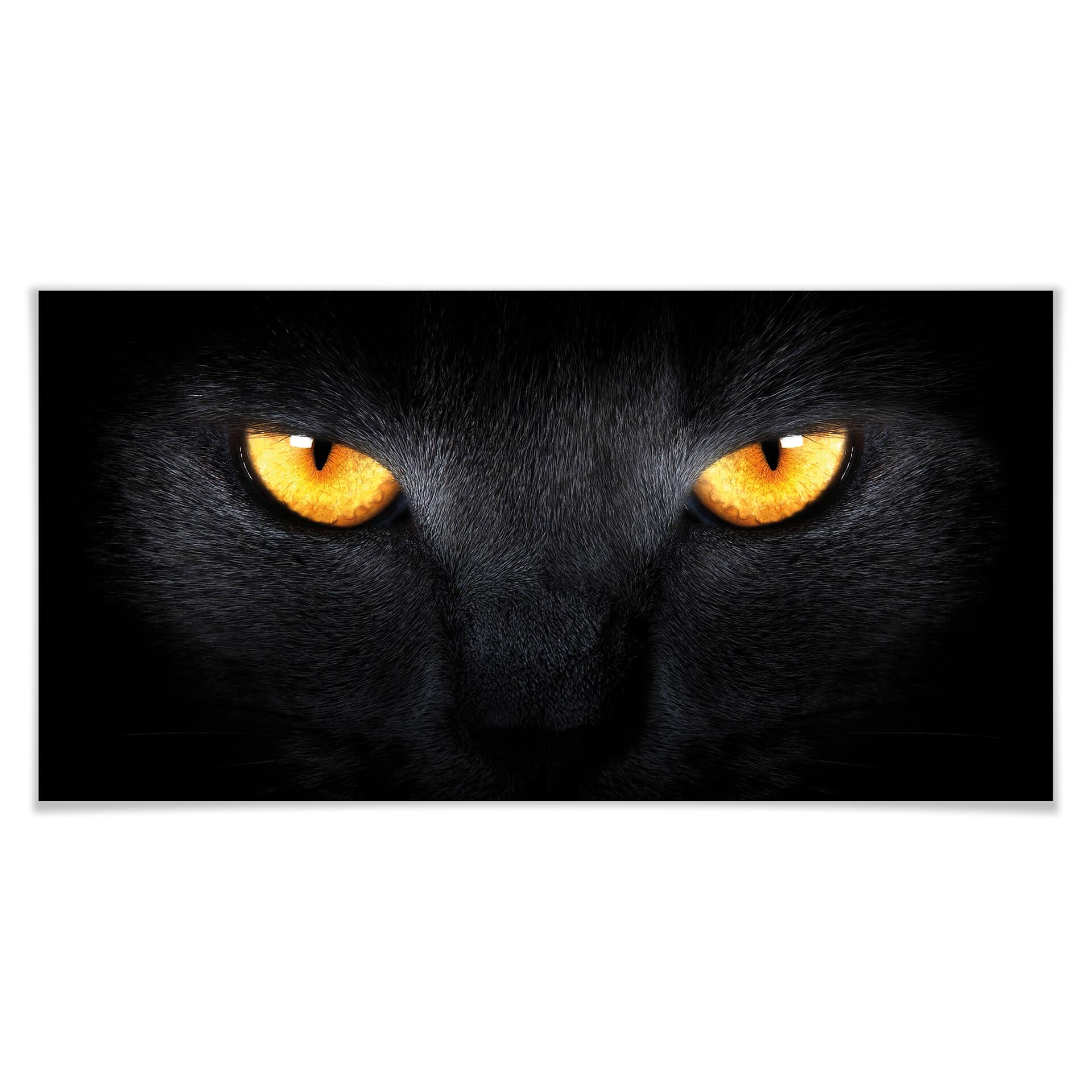 Poster - Yeux de chat