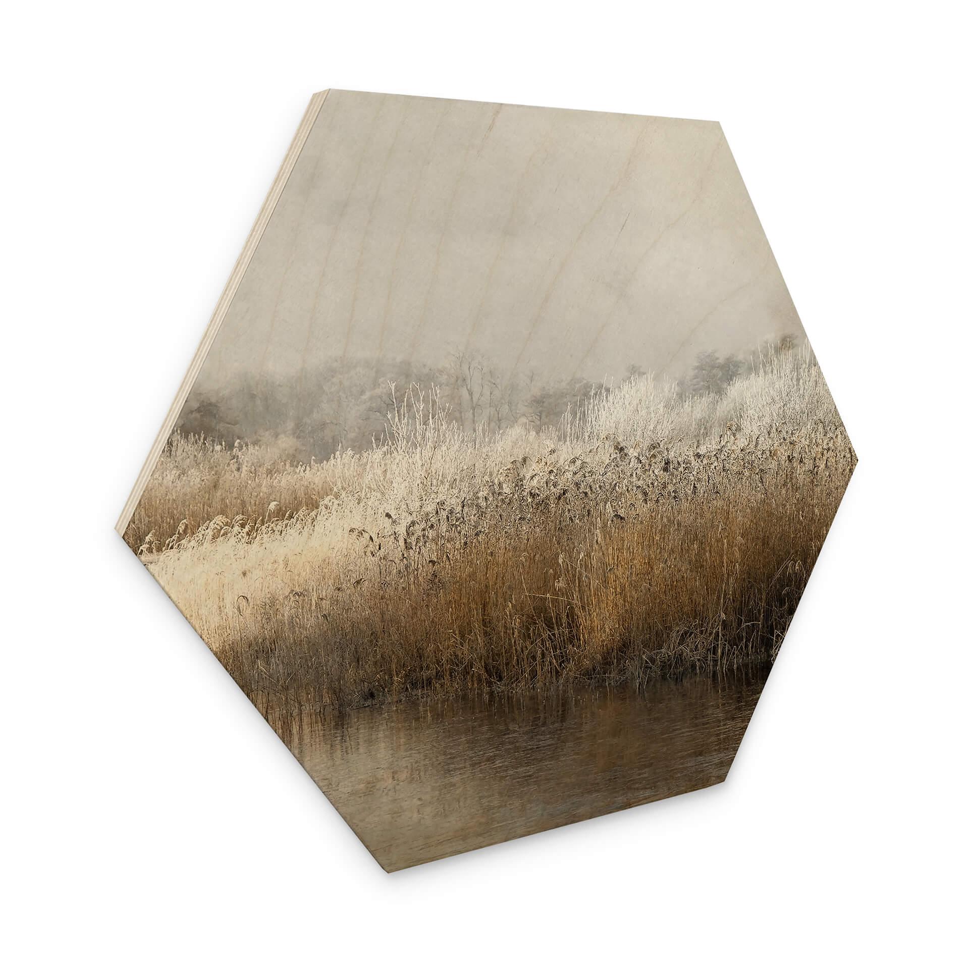 Hexagone - Bois Talen - Matin hivernal