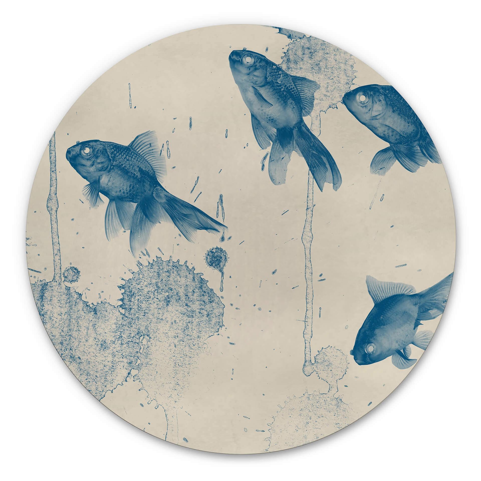 Tableau sur alu-Dibond Poissons bleus - Rond