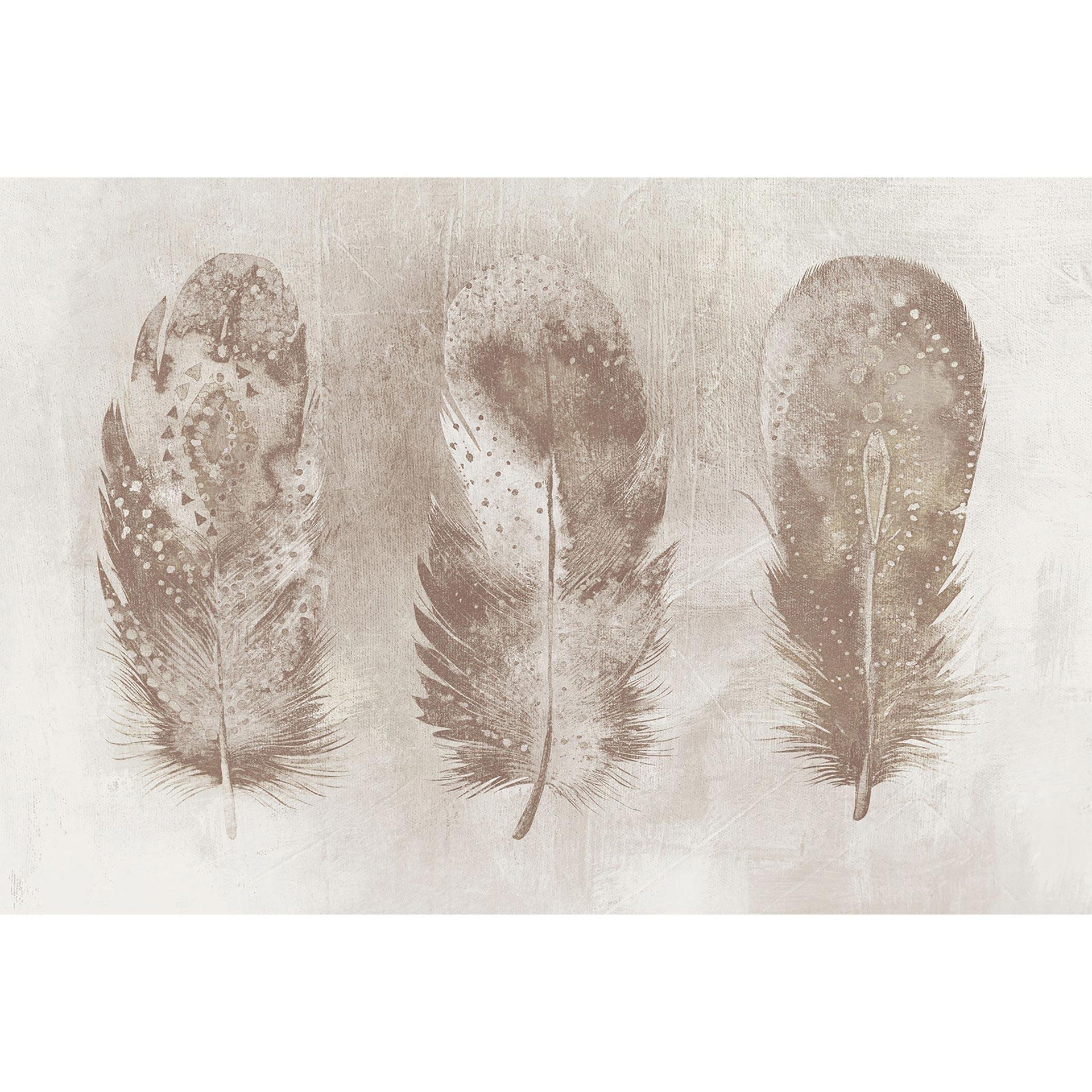 Fototapete Atelier 47 Motley Feather mit Federn - Architects Paper