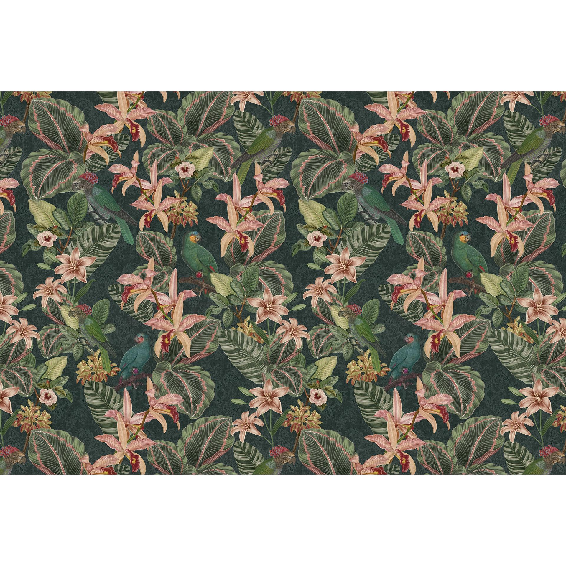Jungle met papegaaien nachtgroen | stadsjungle Fotobehang - Bloomery Decor