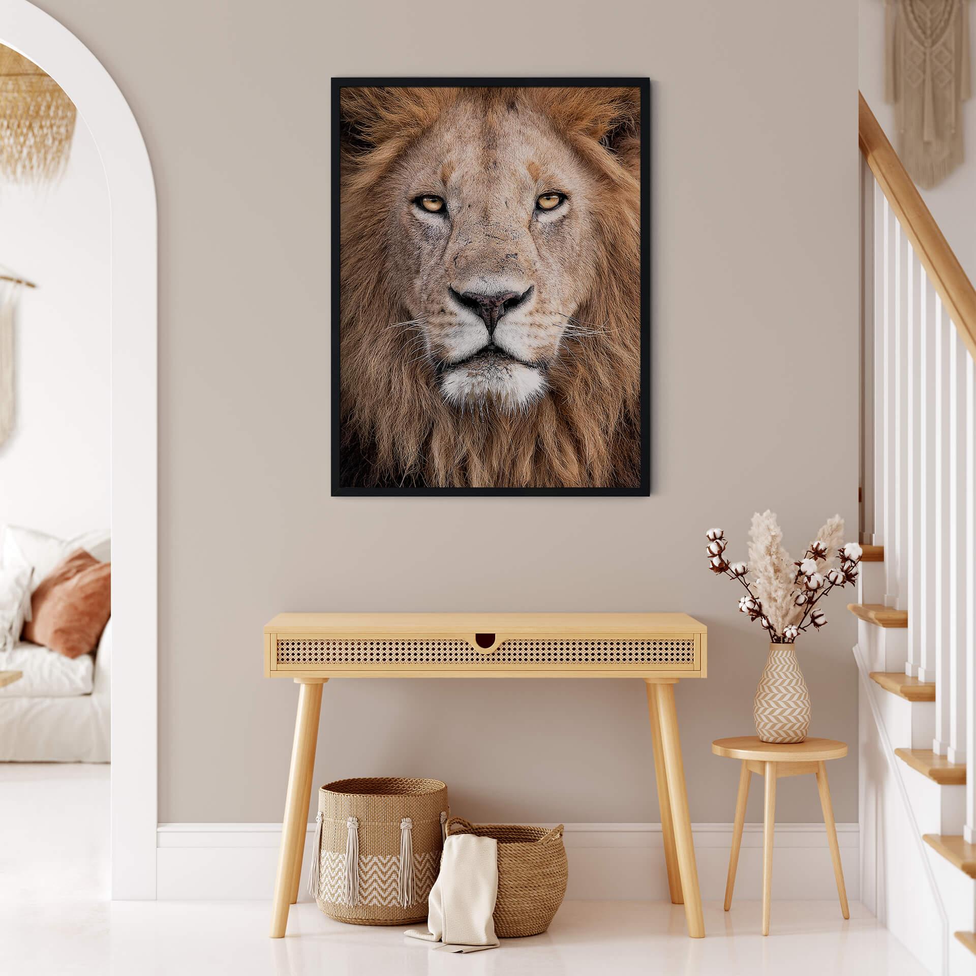Plakat van Duijn - Widok z perspektywy lwa