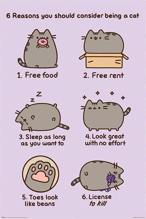 Poster, film poster Pusheen - Reasons to be a Cat 61x91,5 cm
