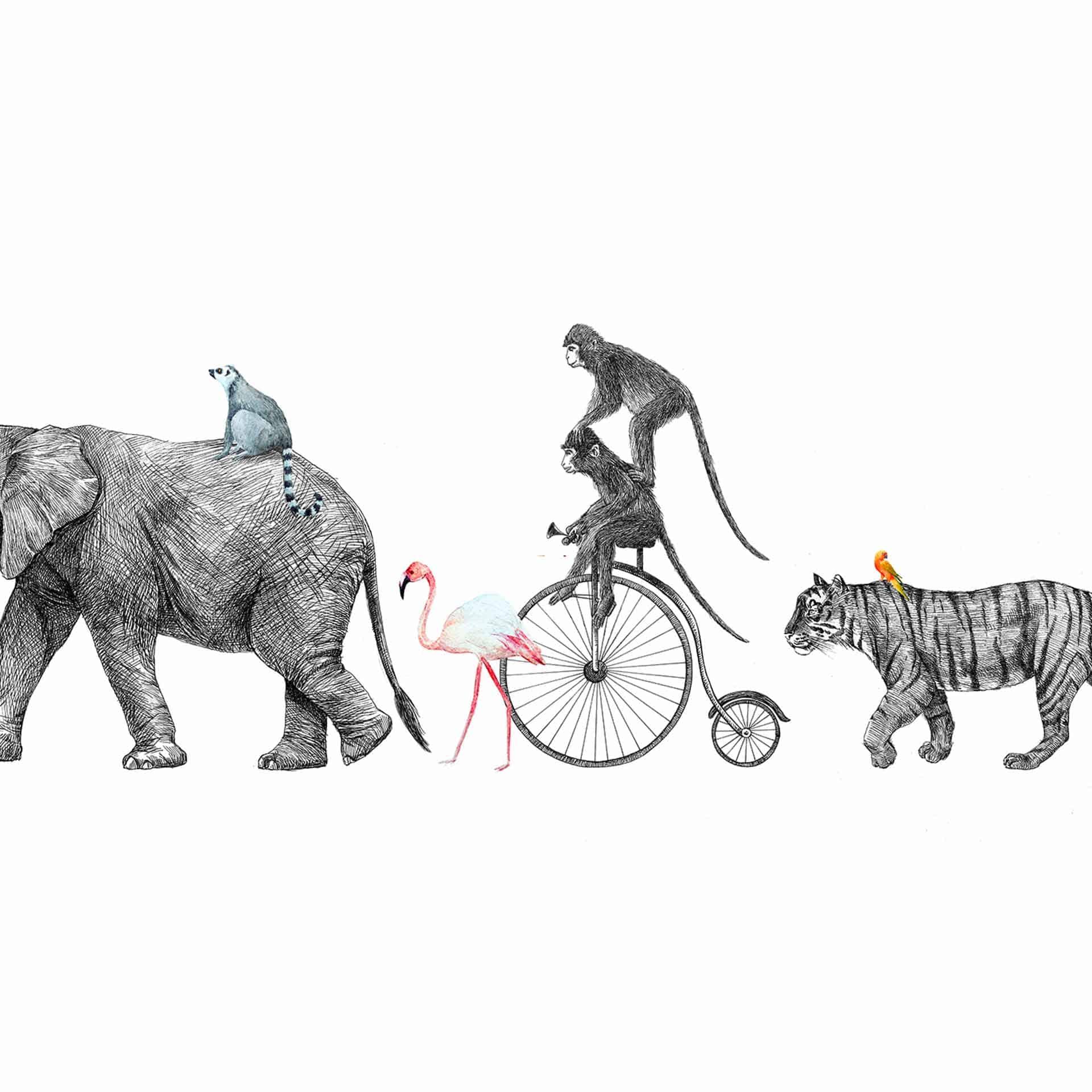 AnimalQueue in wit grijs - vliesbehang Designwalls 2 - 2,55 x 3,5 m