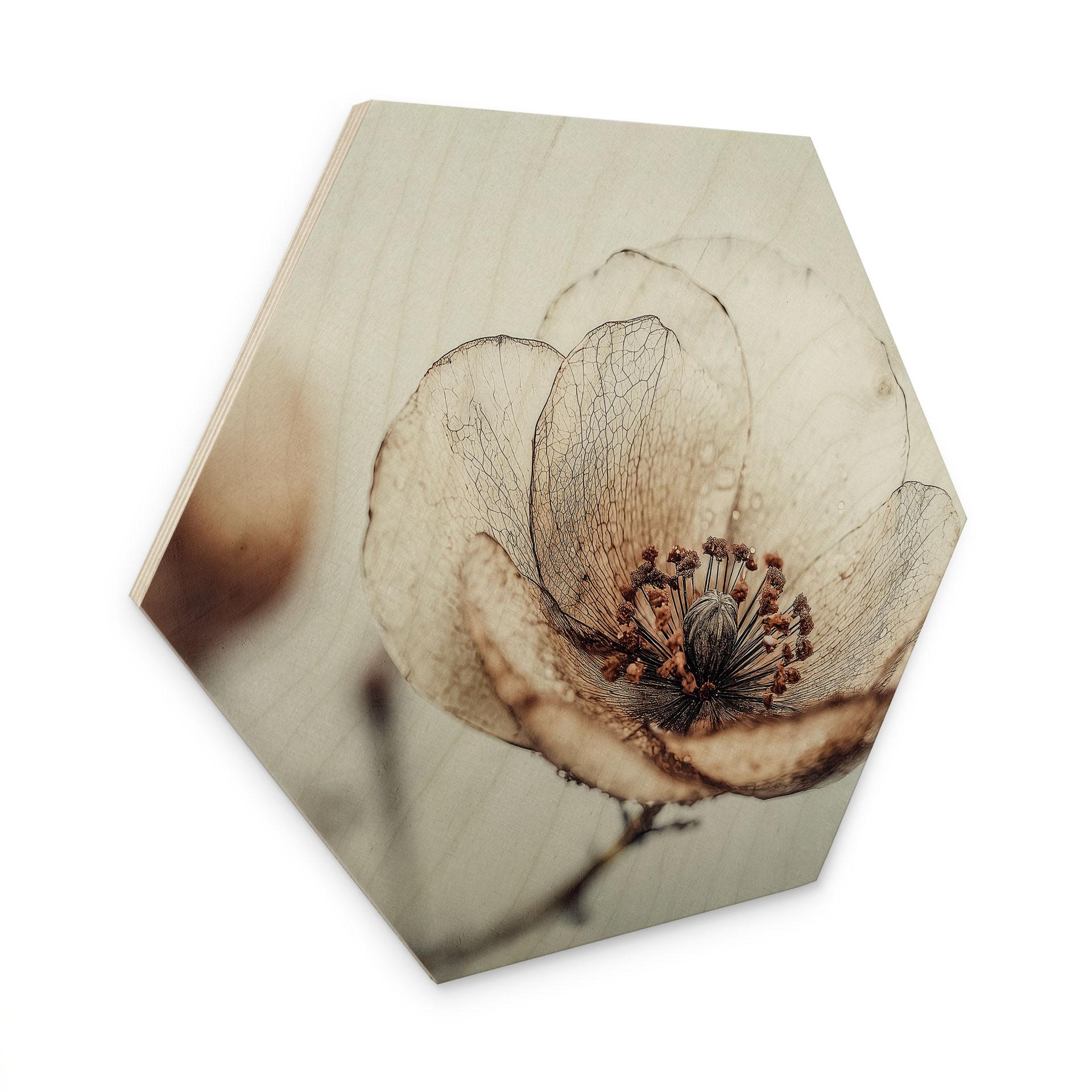 Sekskantet Billede af træ tør blomster beige natur poesi - Treechild