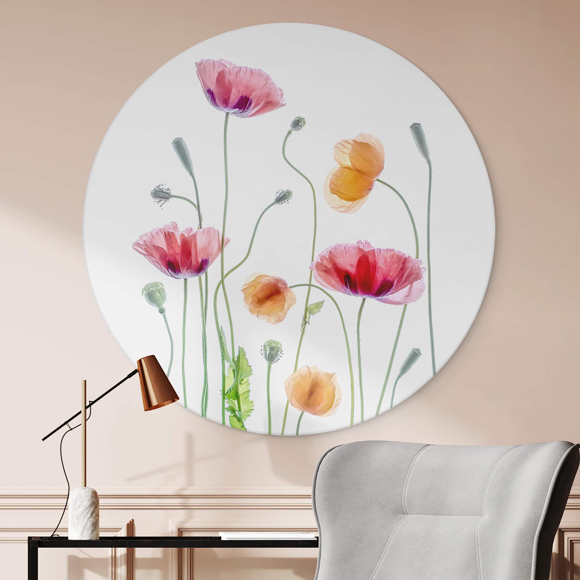 Vægcirkel Disher - Colourful Poppies – print på aluminium (Alu-Dibond)