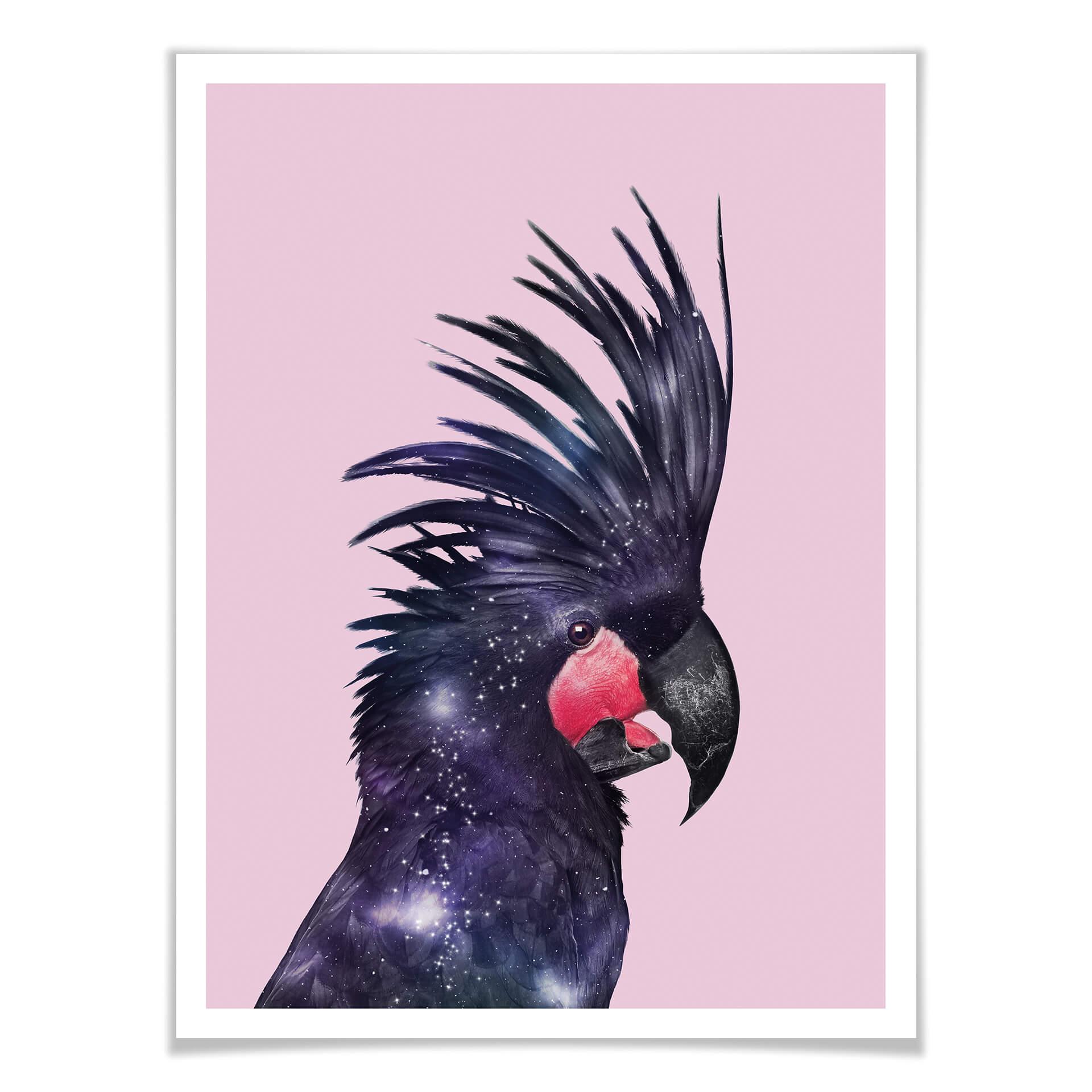 Póster Suelto - Pájaro Galaxia