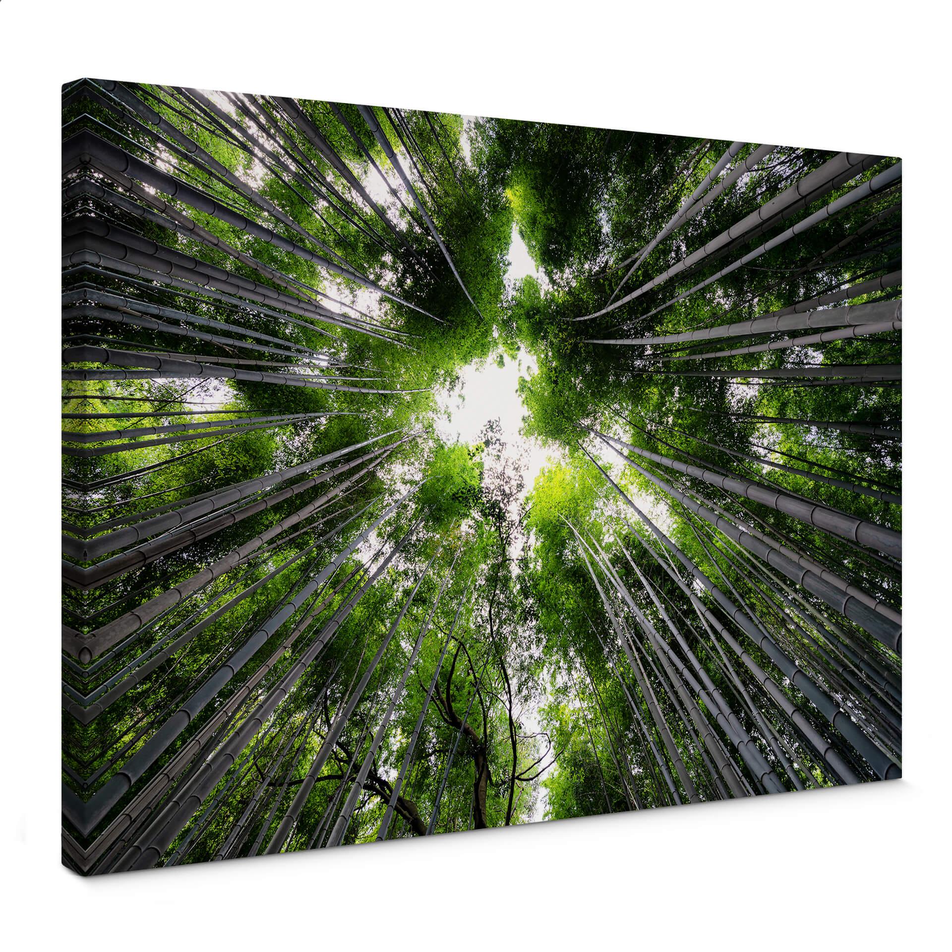 Canvastavla Hugonnard - Skog i Japan