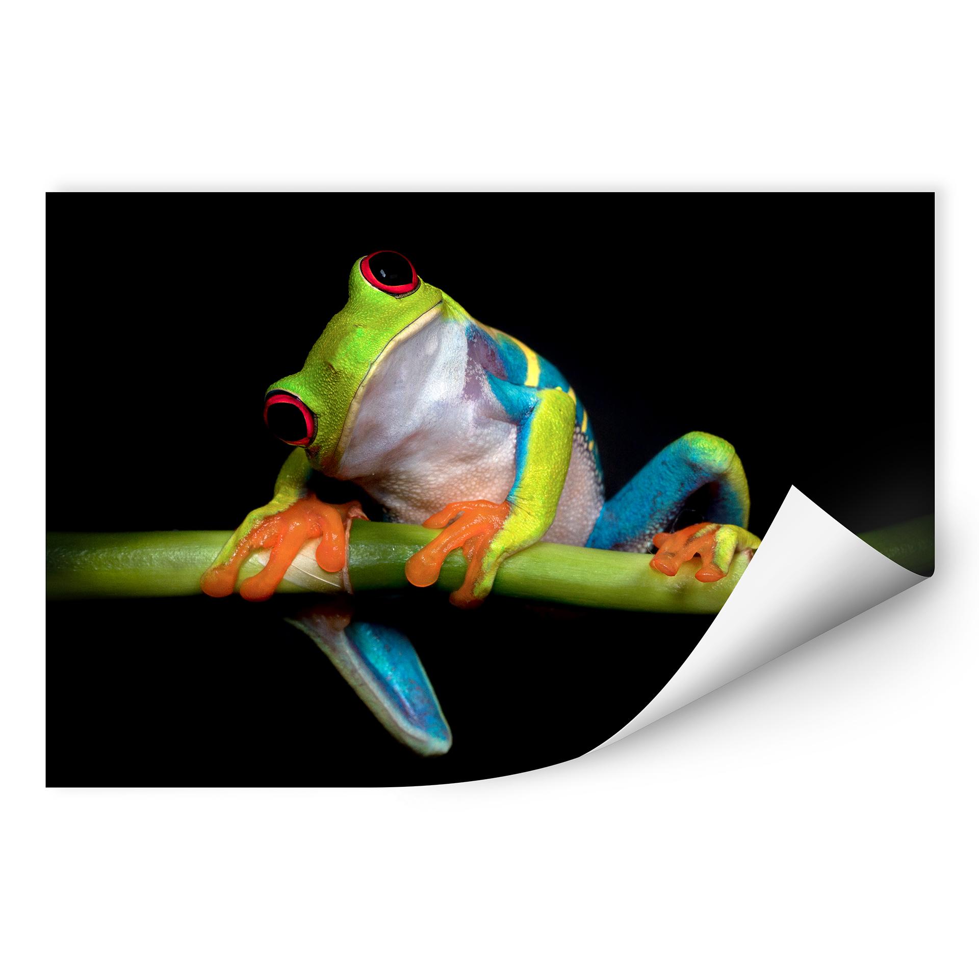 Zelfklevende Poster Valverde - Green Frog