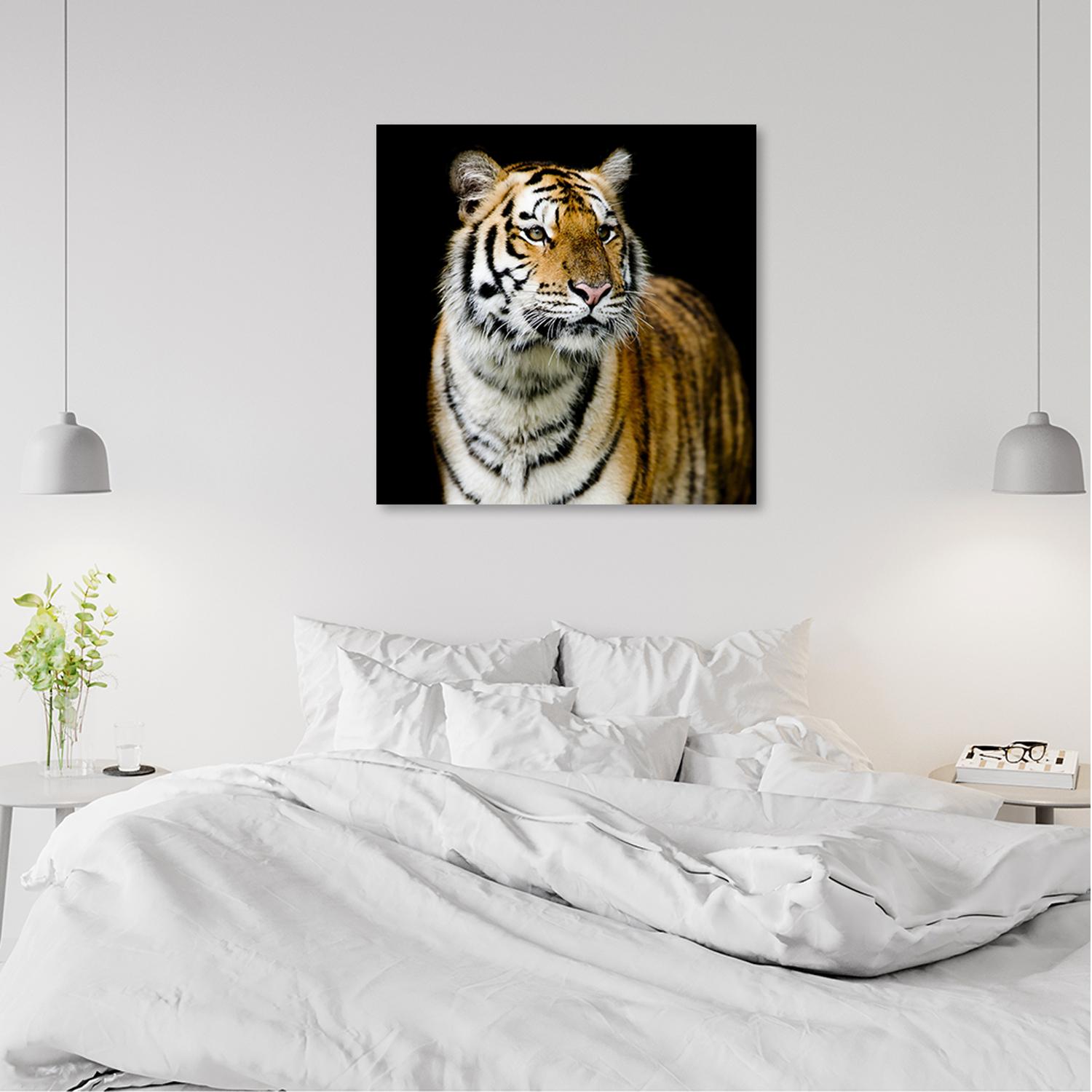 Canvasbillede, Tiger dyreliv natur