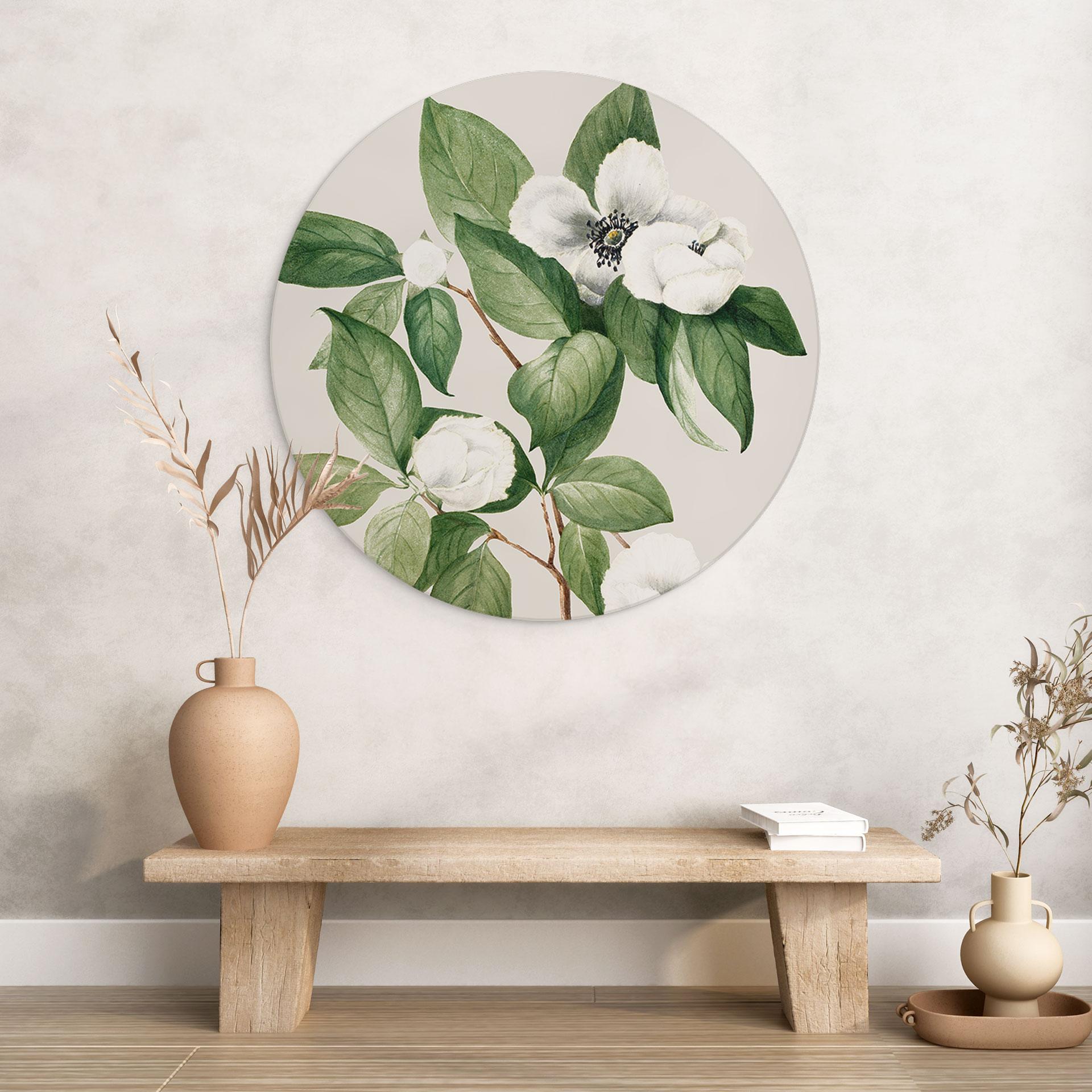 Wandbild Botanik Illustration einer Scheinkamelie - Walcott - Alu-Dibond - Rund