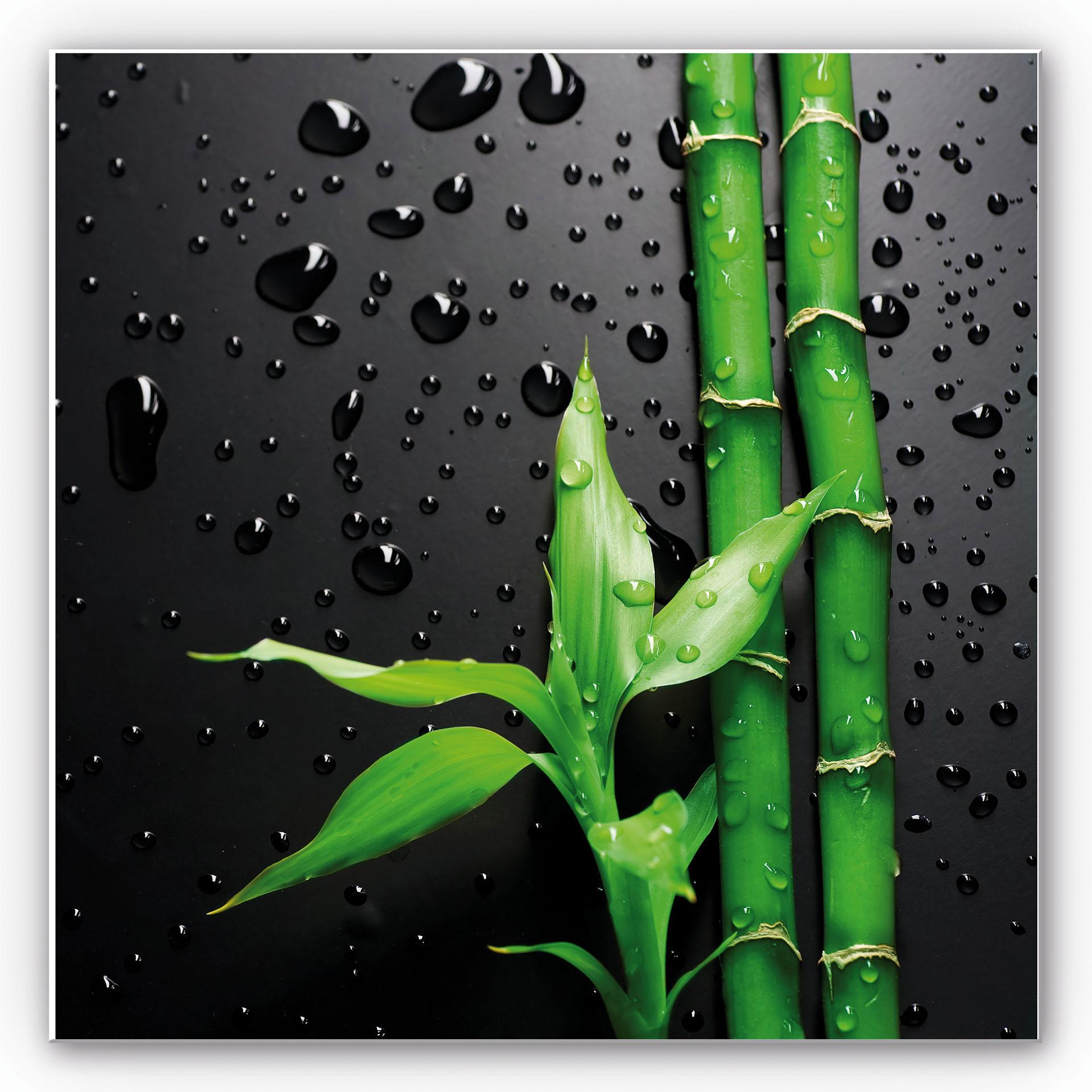 Tableau Forex - Bambou sur fond noir - format carré