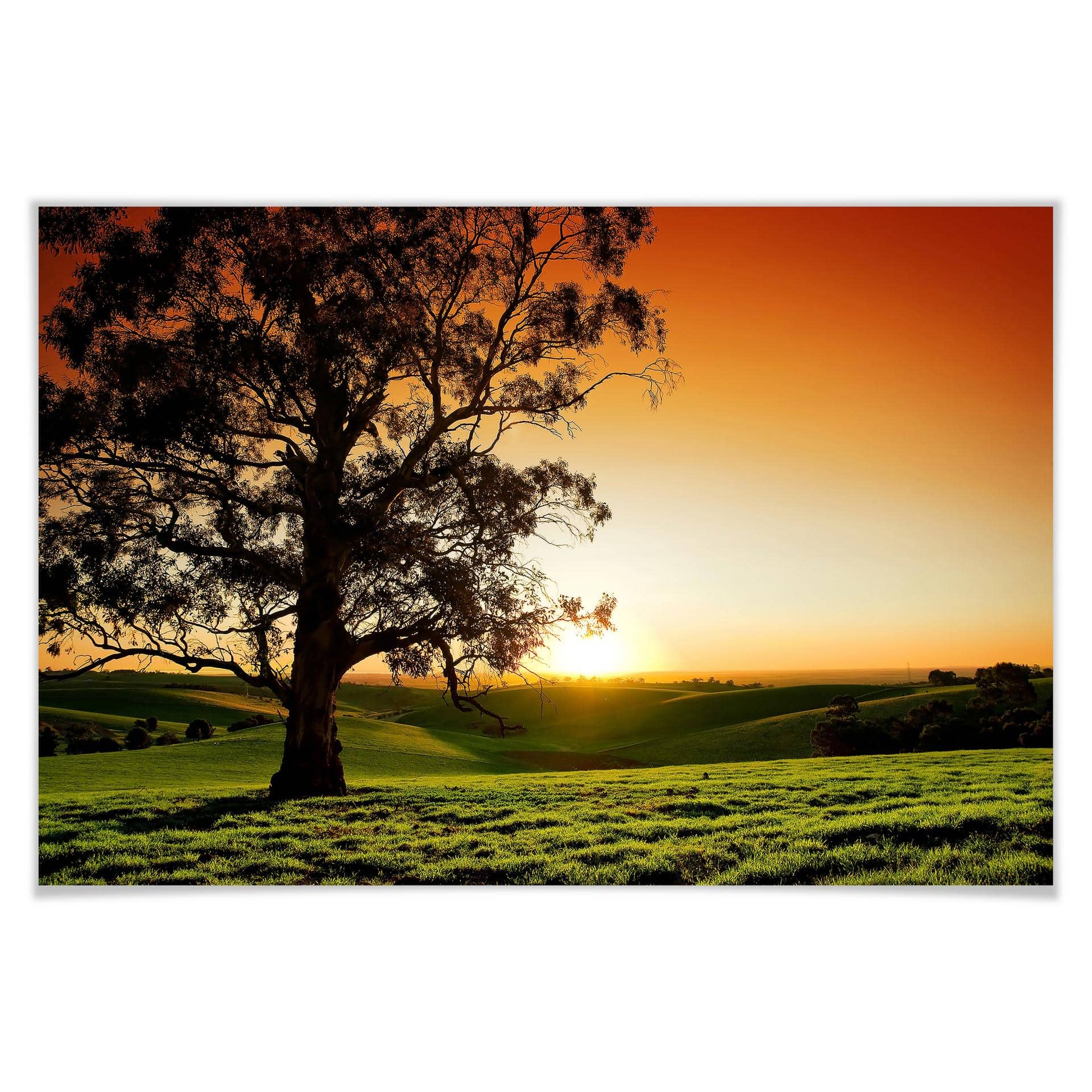 Poster - Coucher de soleil sur les collines
