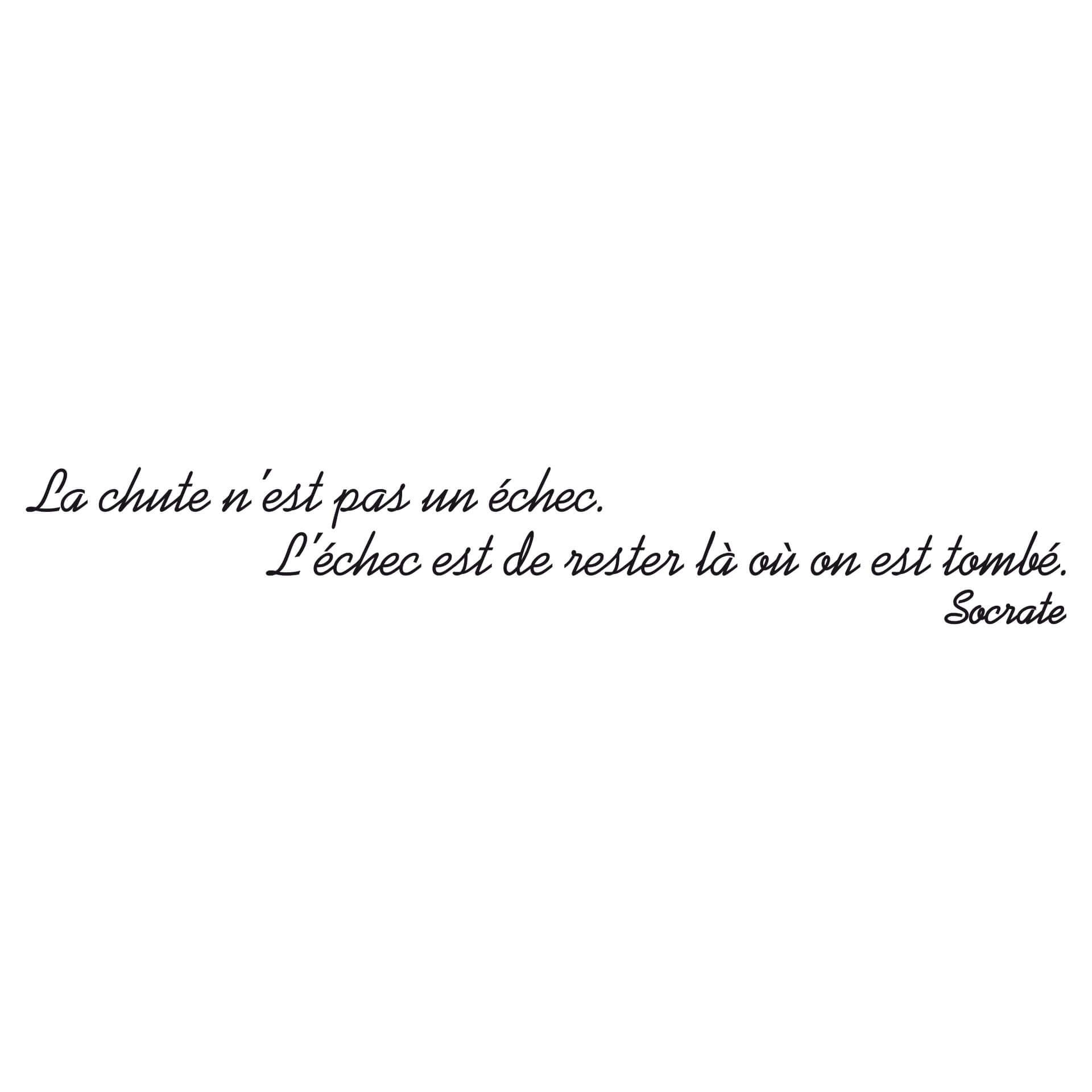 Adesivo murale - La chute n'est pas un echec...