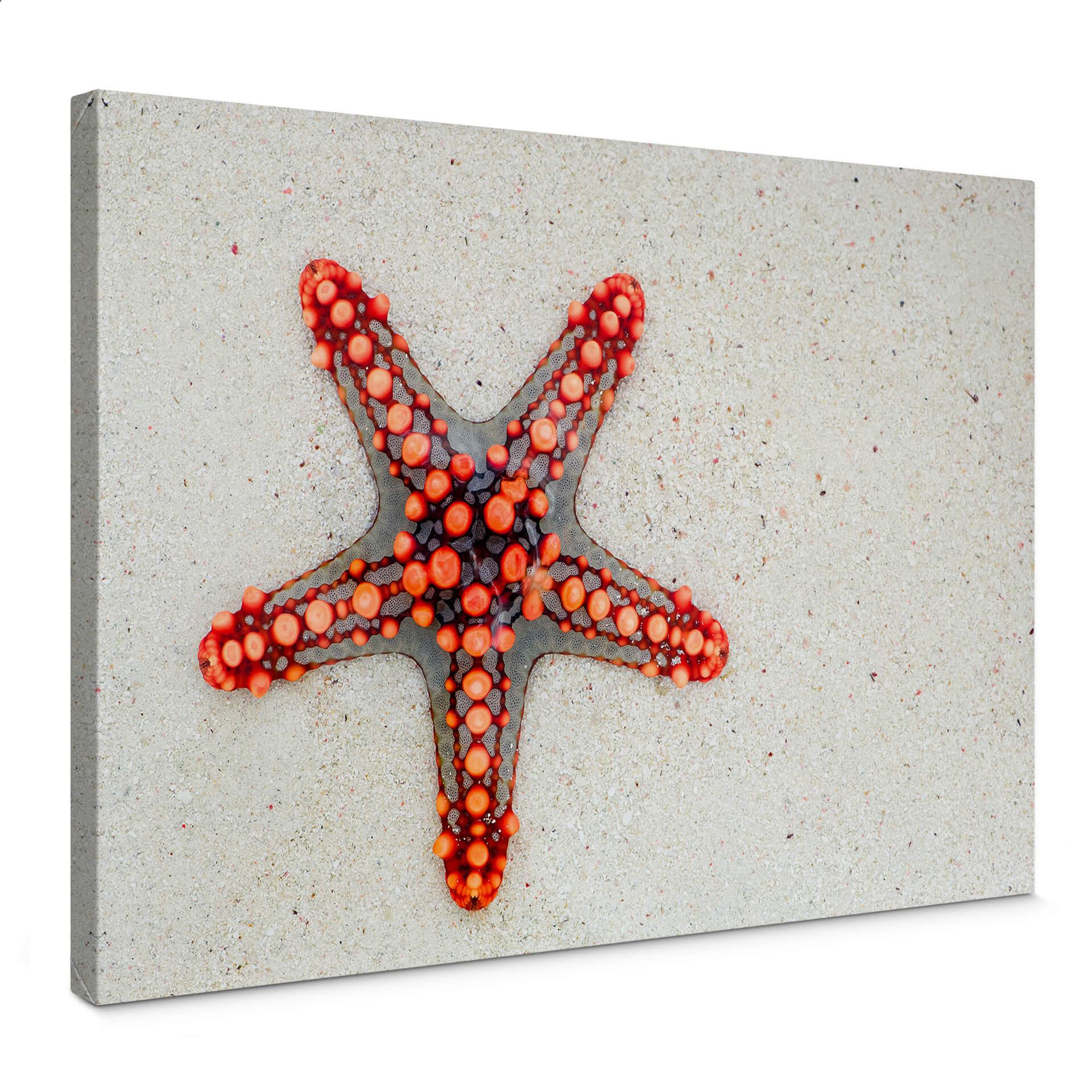 Tableau sur toile Etoile de mer brillante
