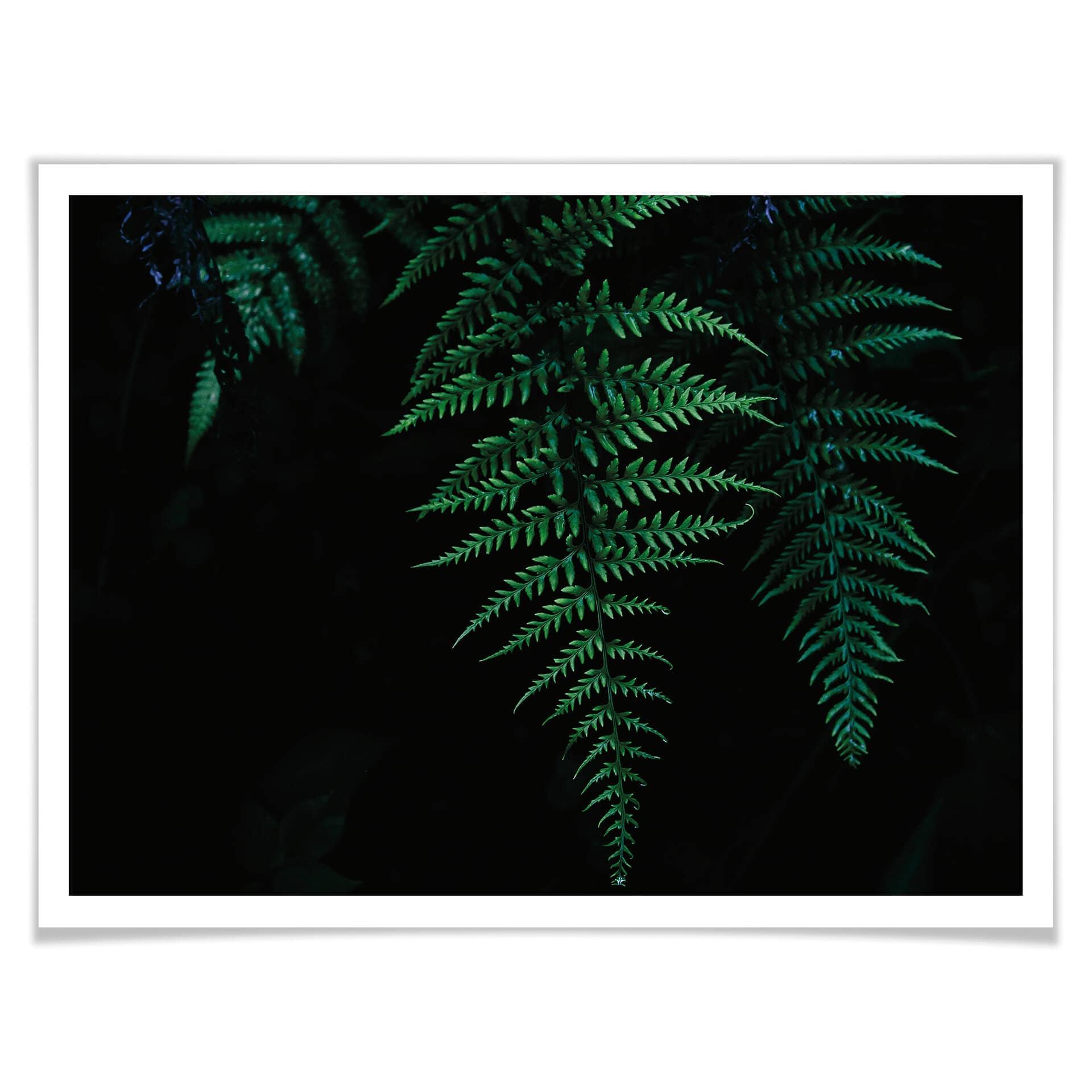 Plakat - Bregne 03