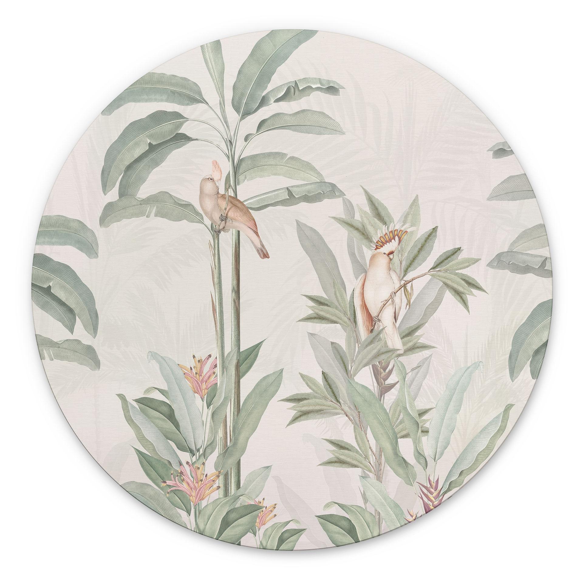 Tropisk skov med kakaduer - Bloomery Decor - rund – print på aluminium (Alu-Dibond)