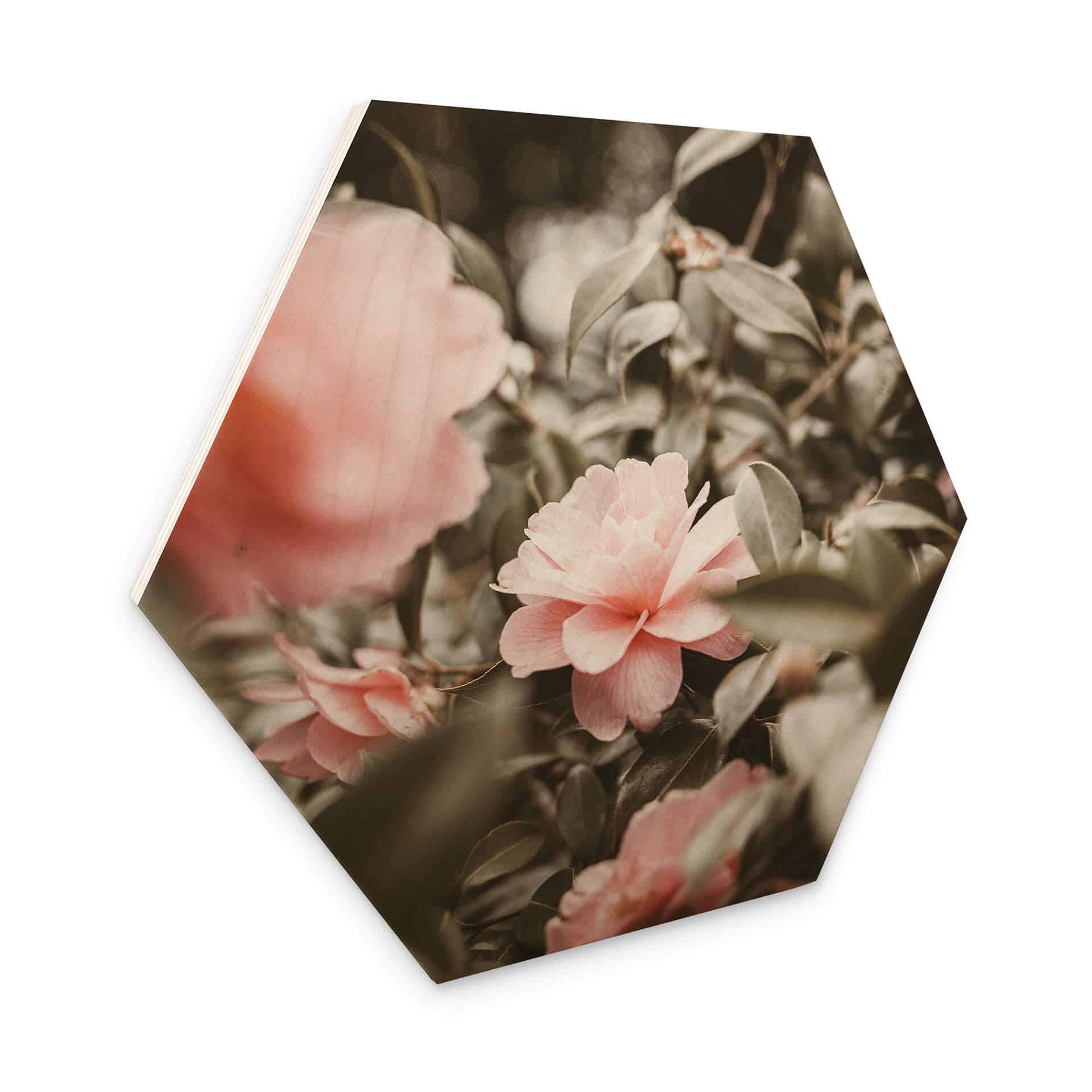 Hexagone - Bois Annie - Roses