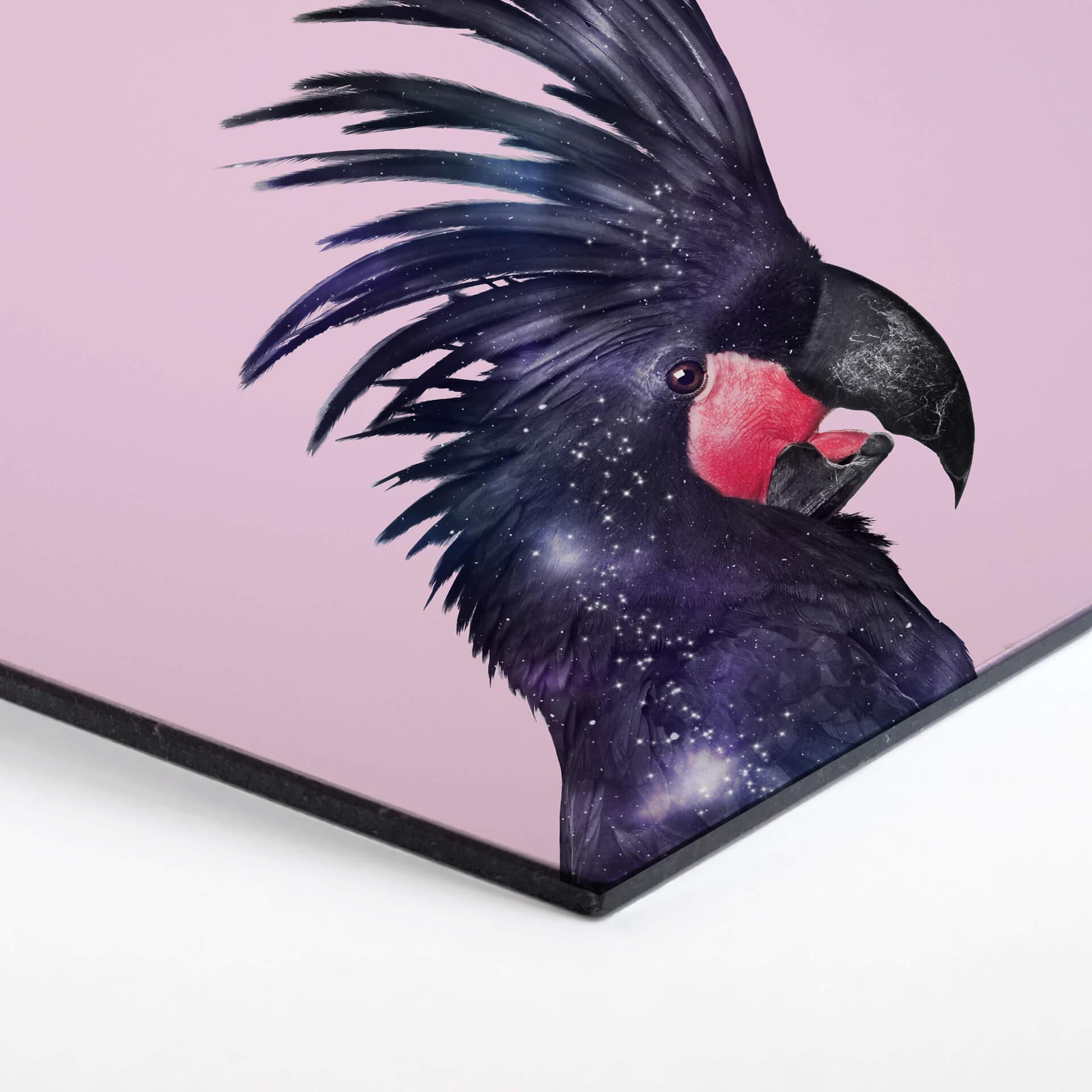 Hexagon - Alu-Dibond Loose - Galaxy Bird